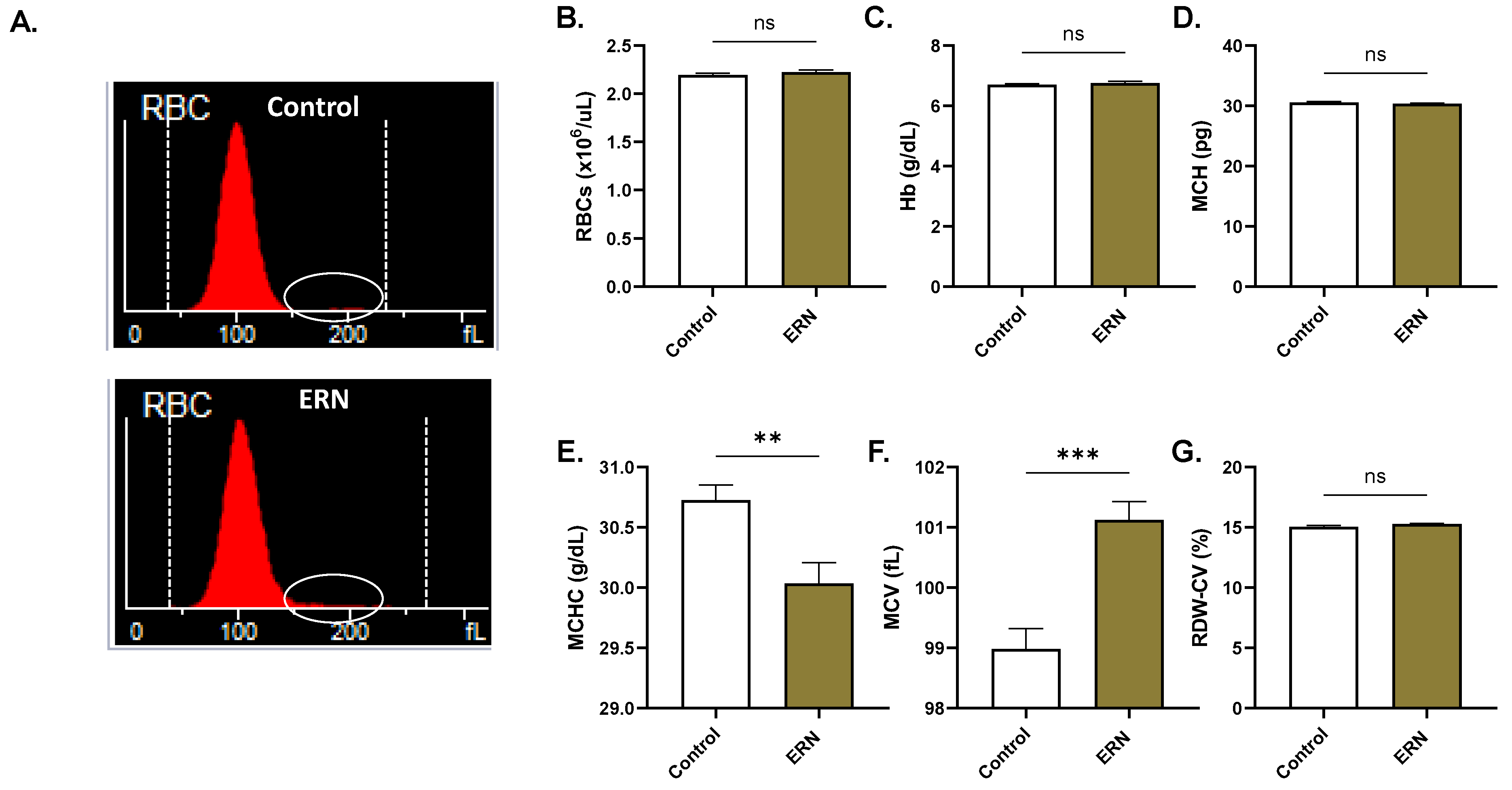 Pharmaceuticals 16 01681 g008 Pharmaceuticals 16 01681 g008