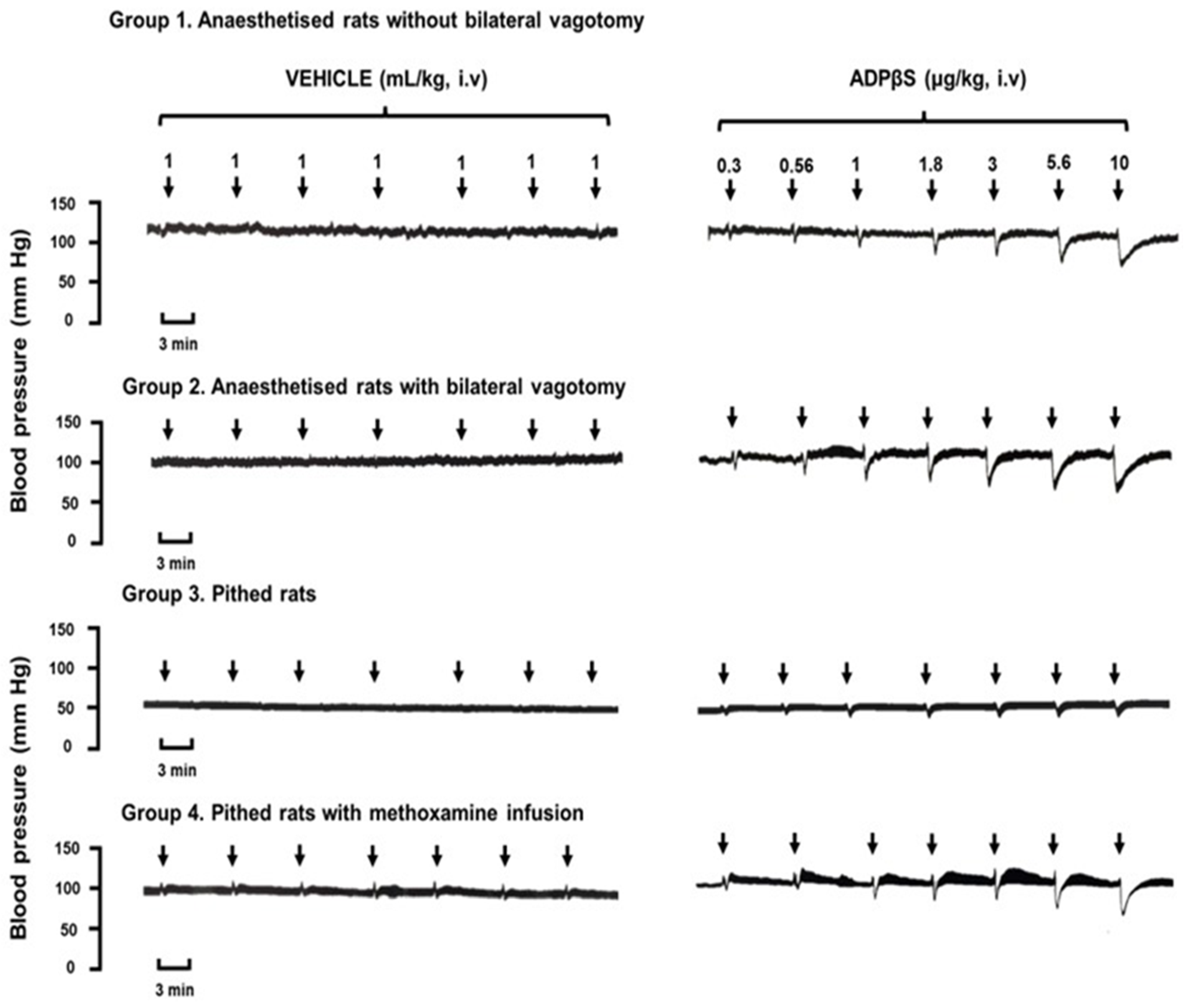 Pharmaceuticals 16 01683 g001
