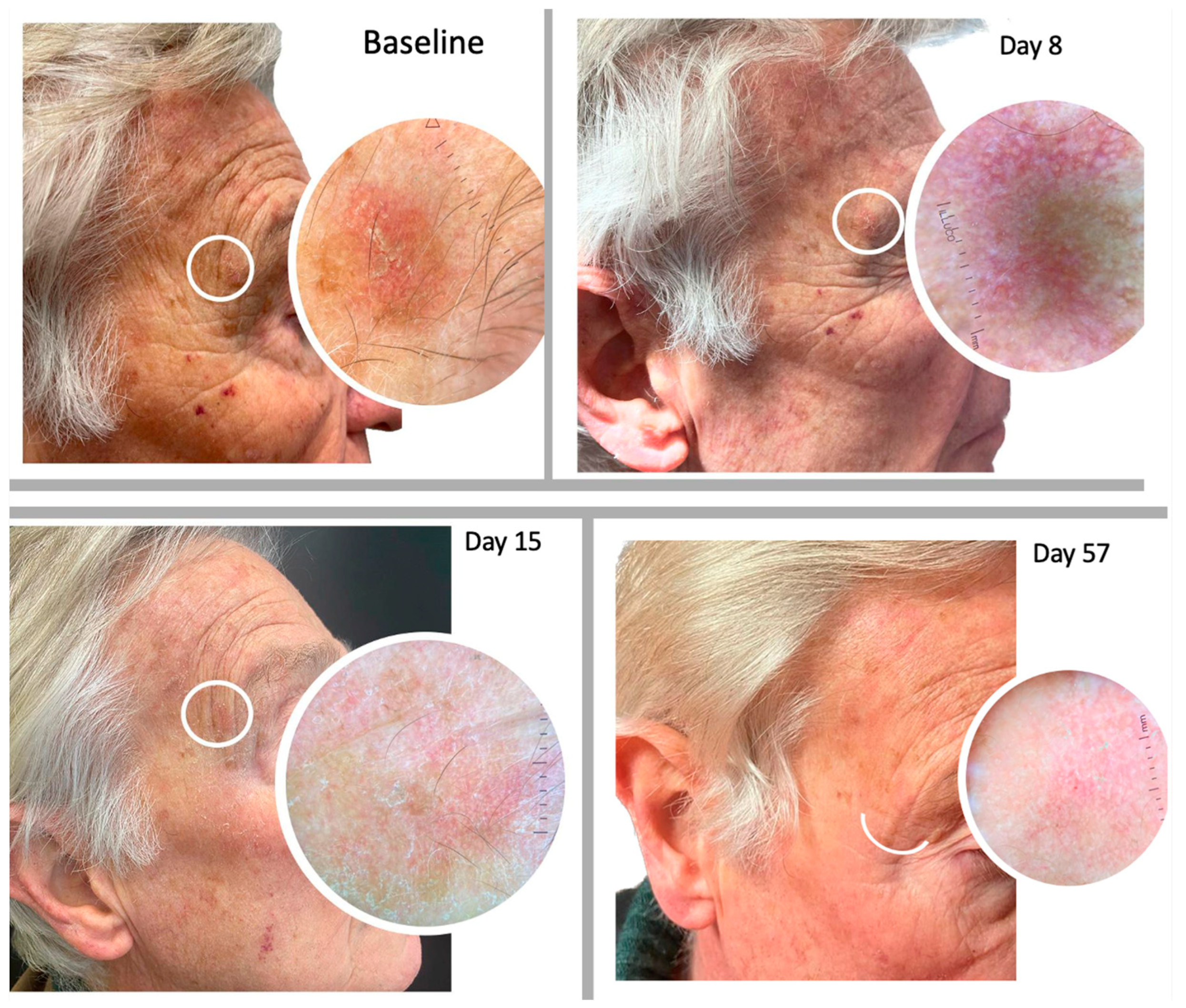 Pharmaceuticals 16 01686 g003