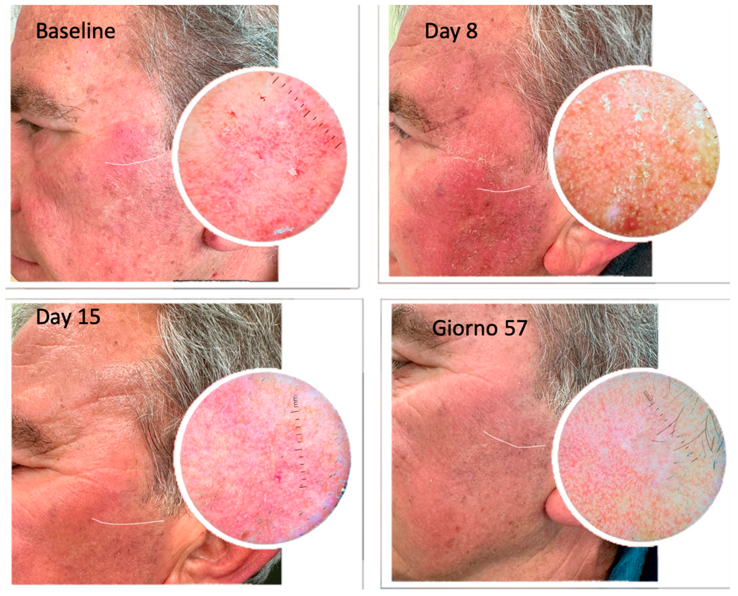 Pharmaceuticals 16 01686 g004