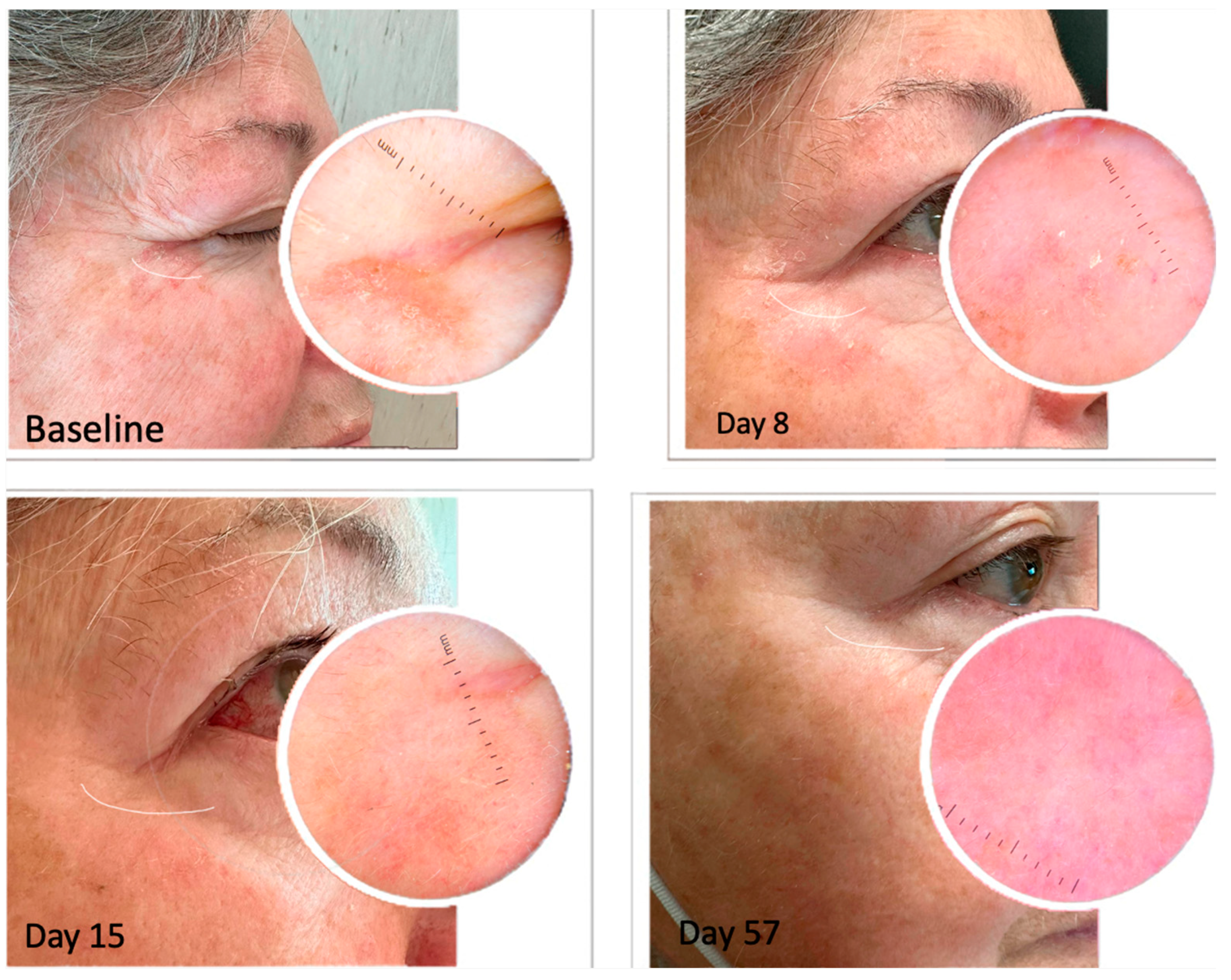 Pharmaceuticals 16 01686 g005