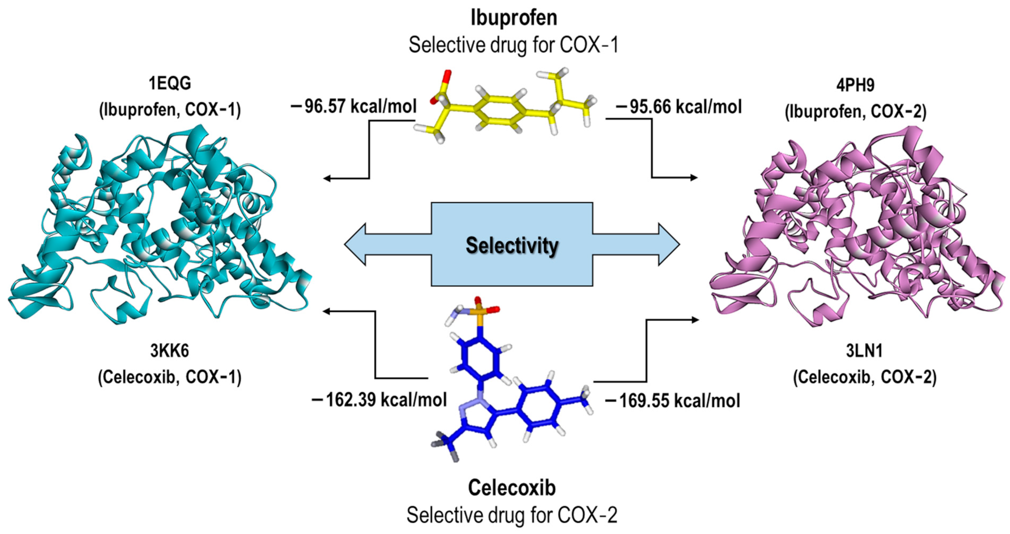 Pharmaceuticals 16 01688 g006