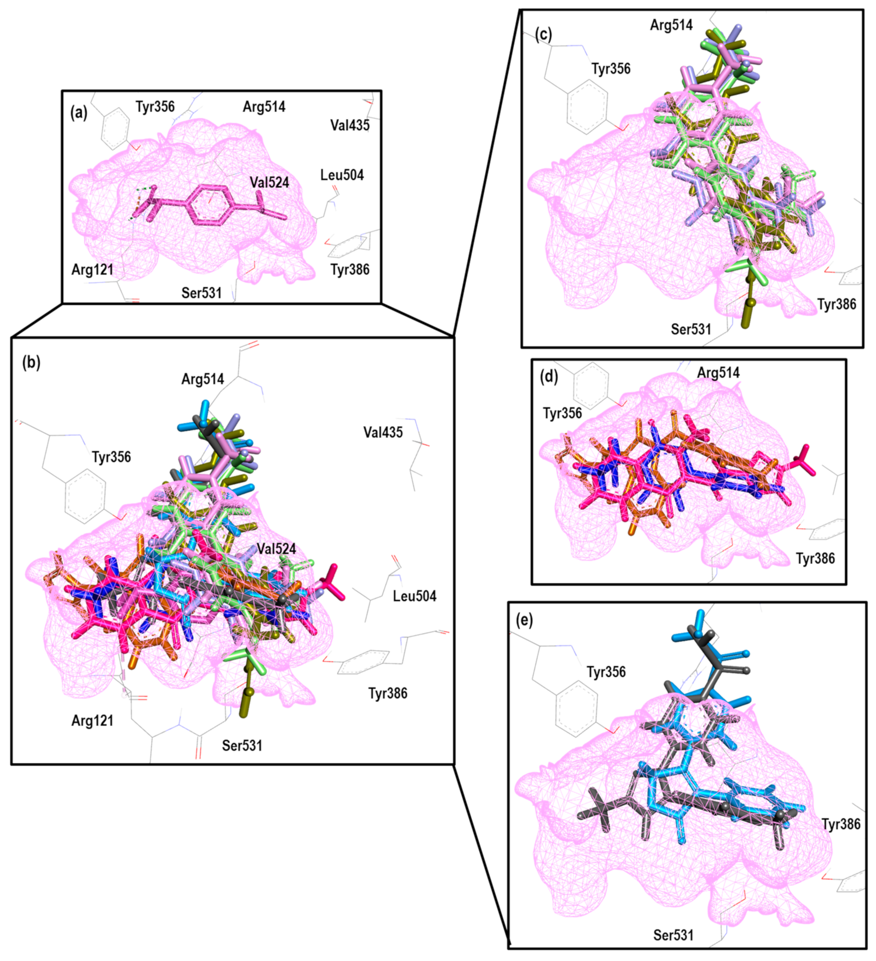 Pharmaceuticals 16 01688 g014