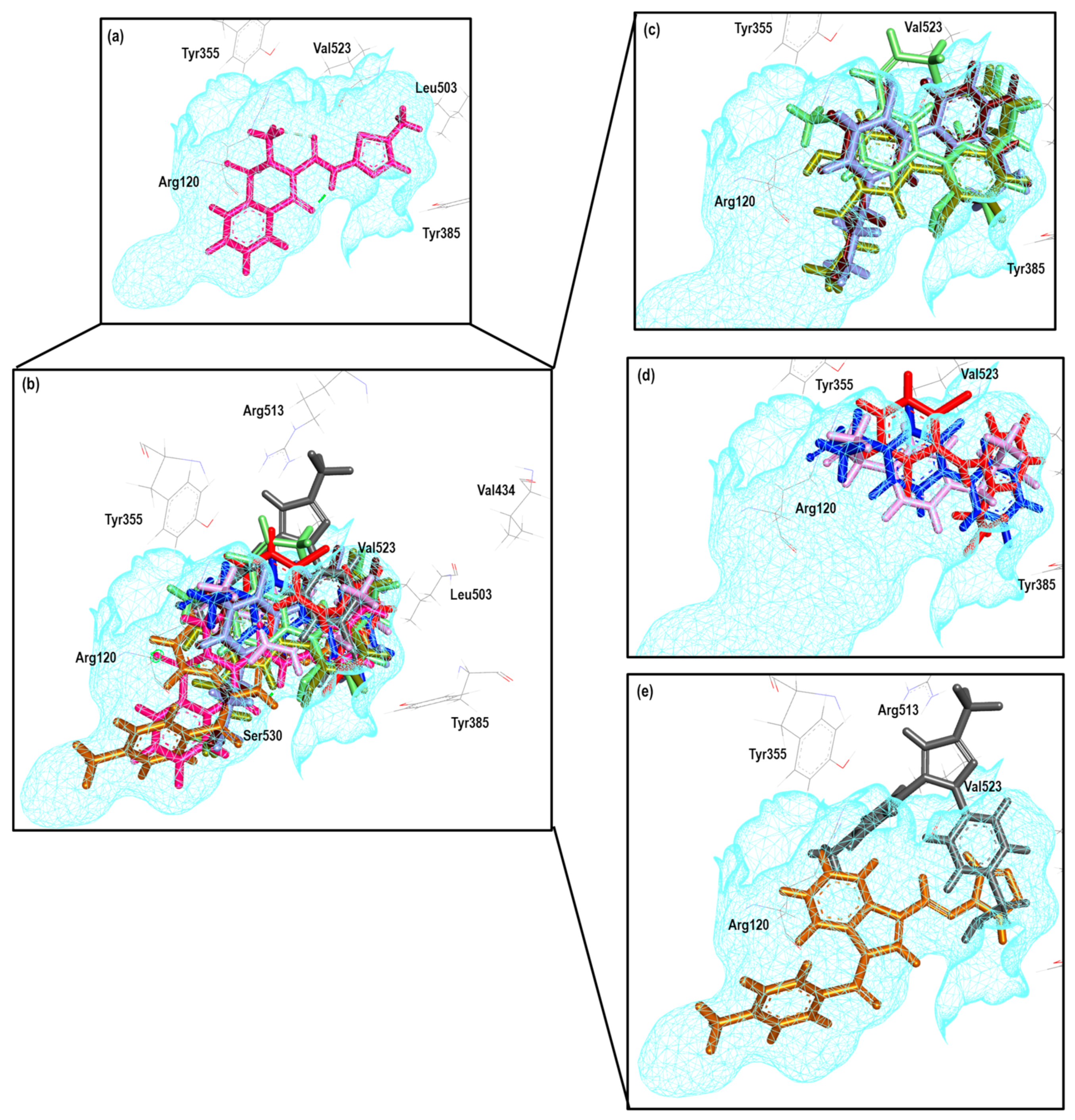 Pharmaceuticals 16 01688 g029