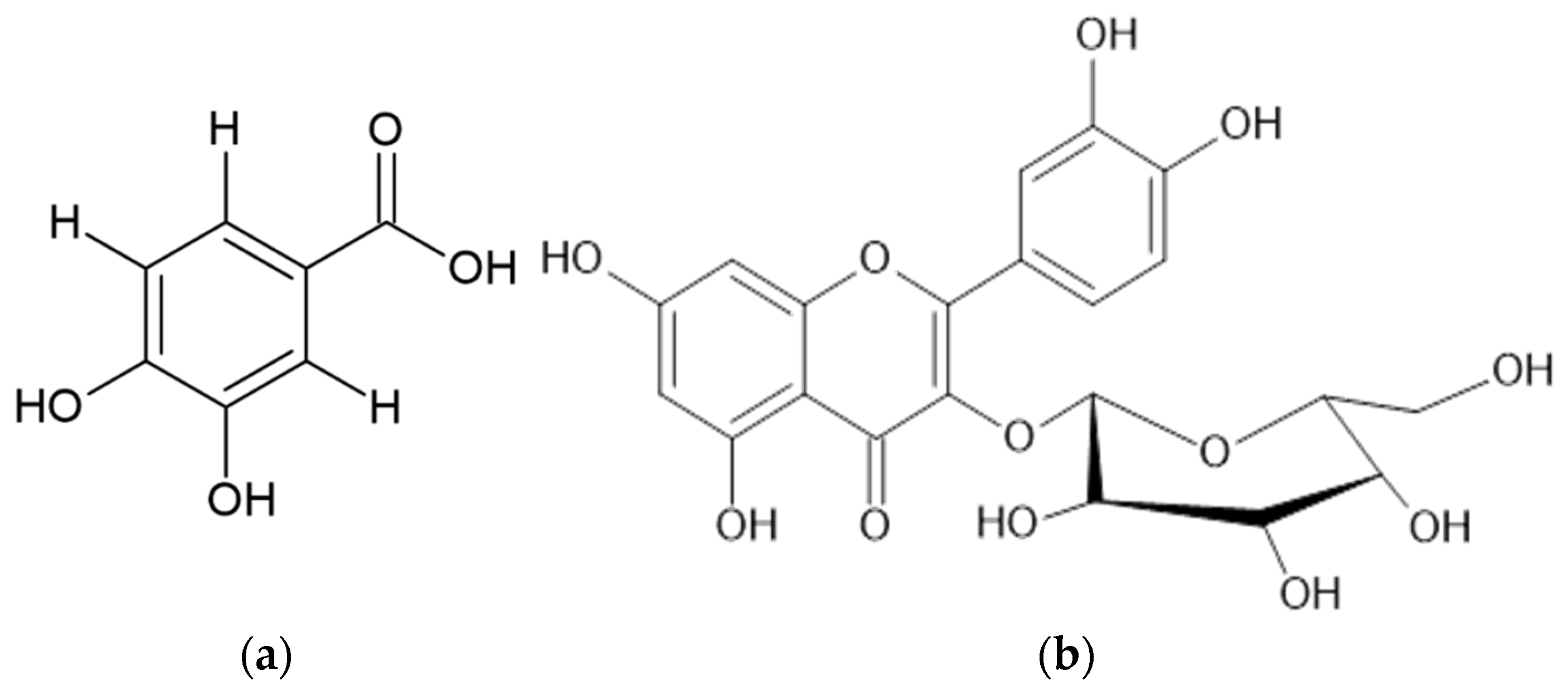 Pharmaceuticals 16 01691 g001
