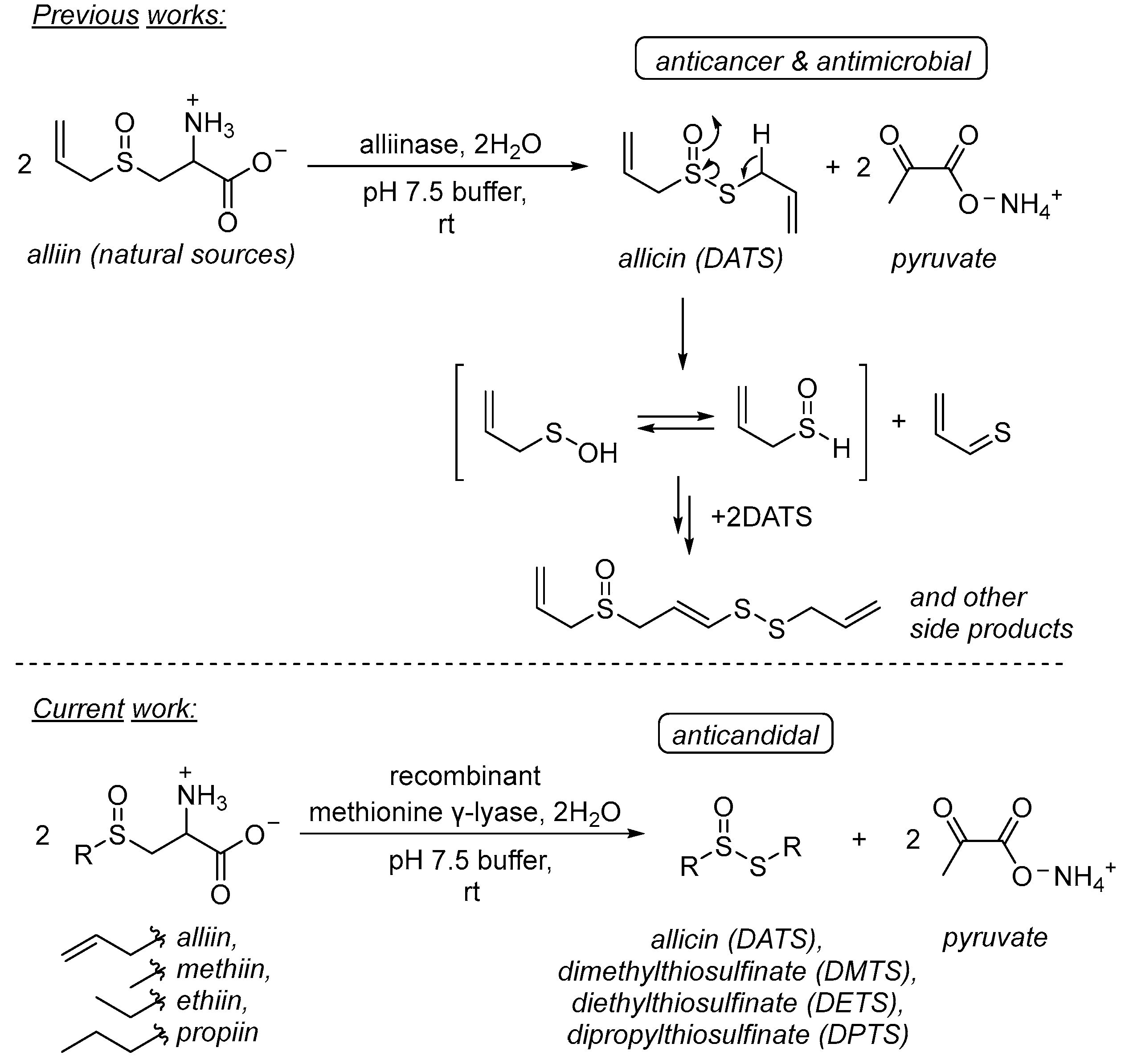 Pharmaceuticals 16 01695 g001