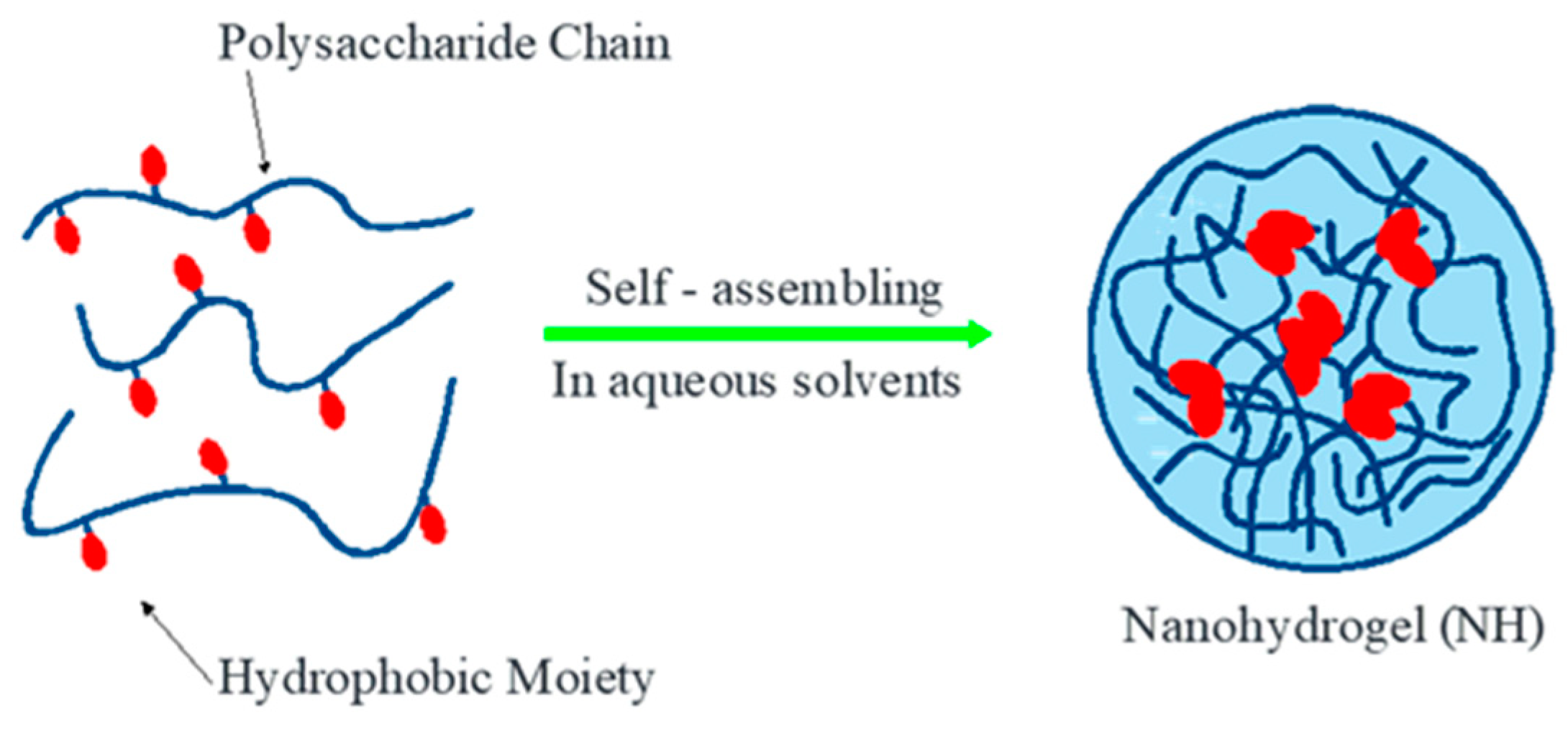 Pharmaceuticals 16 01701 g003