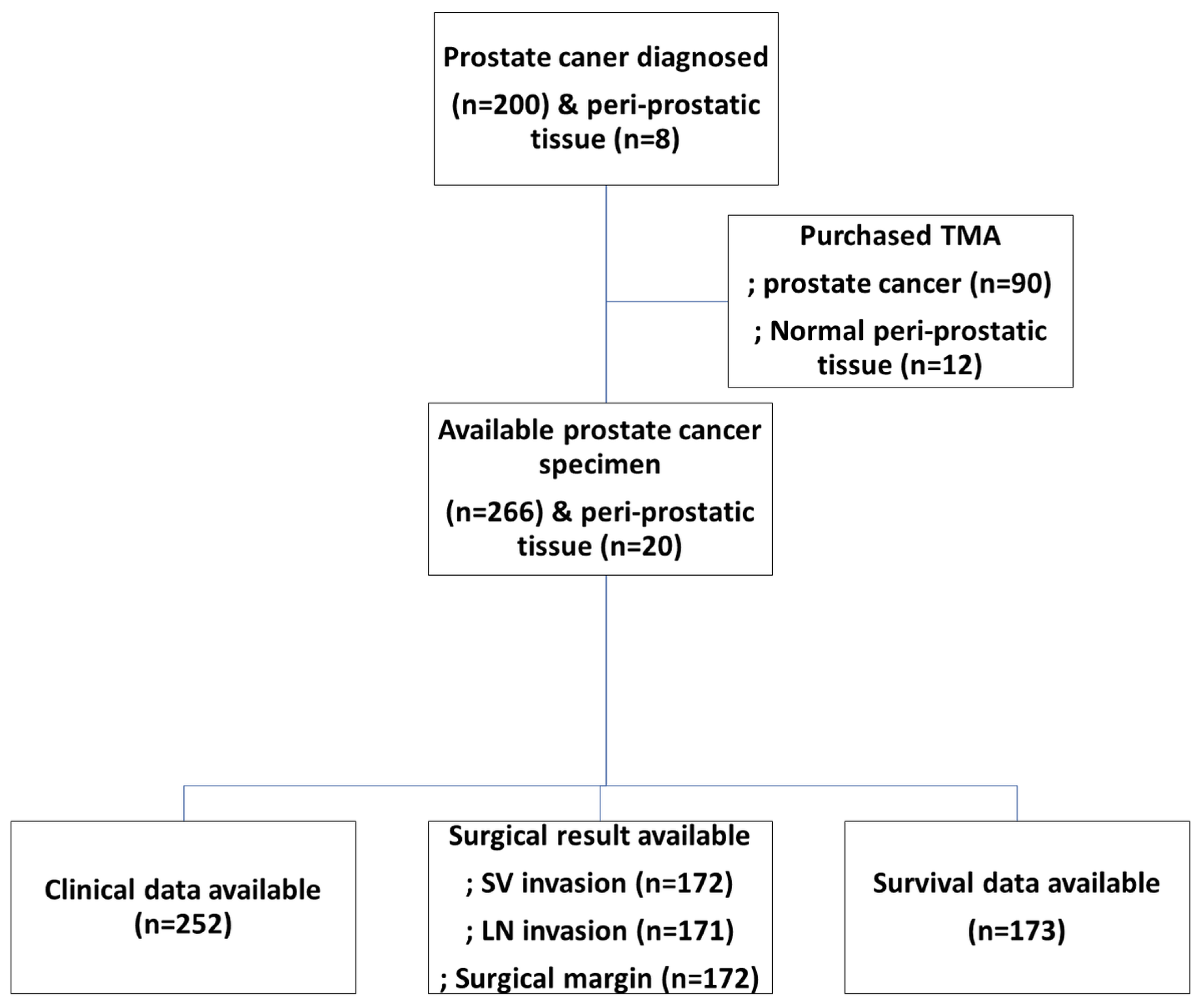 Pharmaceuticals 16 01703 g001