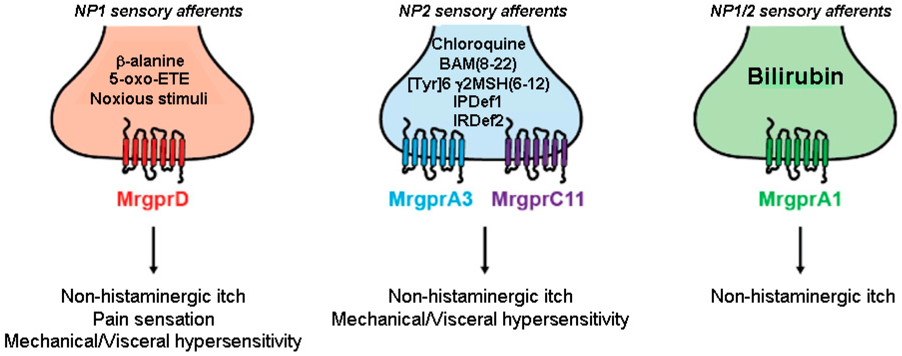 Pharmaceuticals 16 01707 g002
