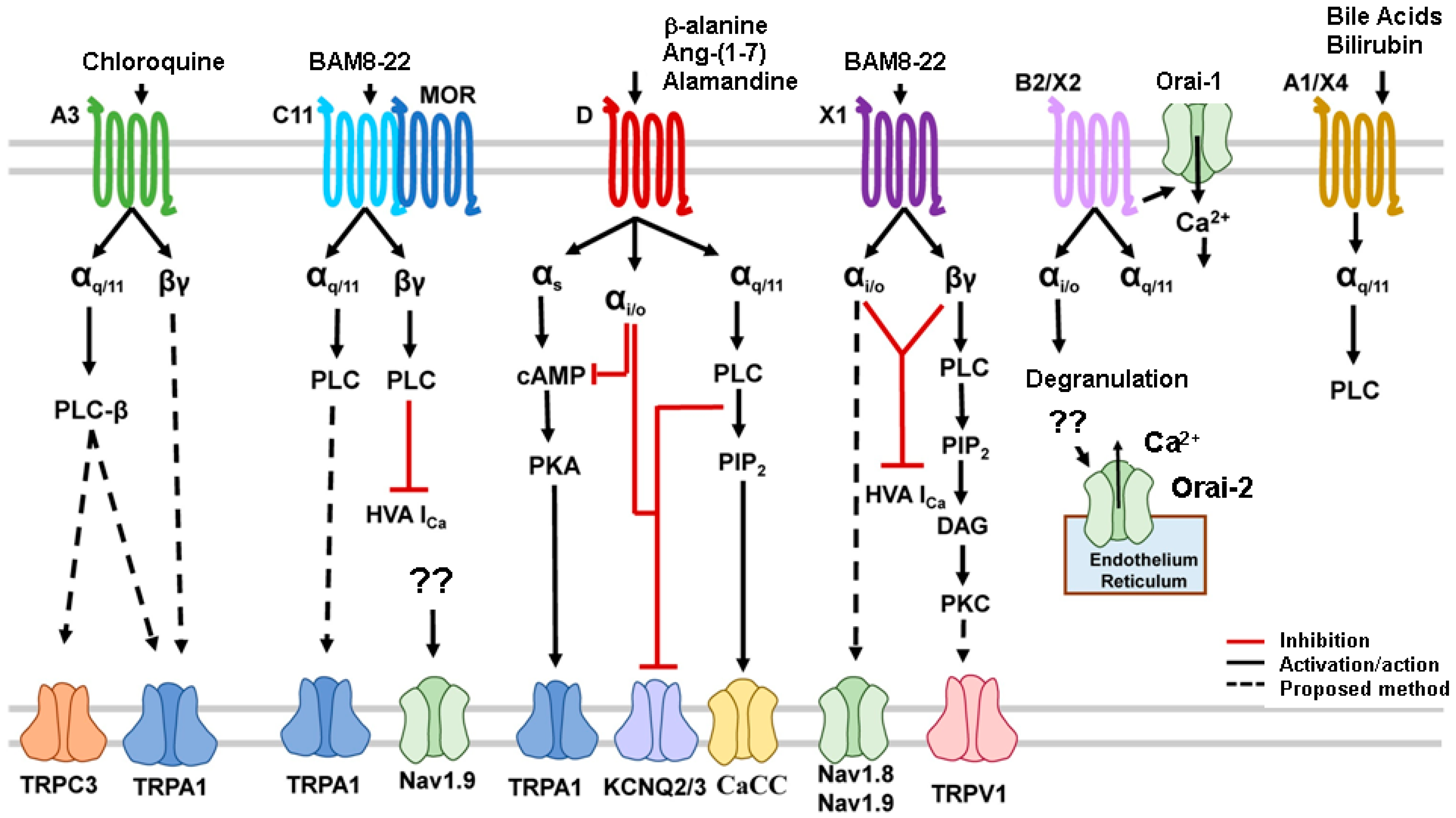 Pharmaceuticals 16 01707 g003