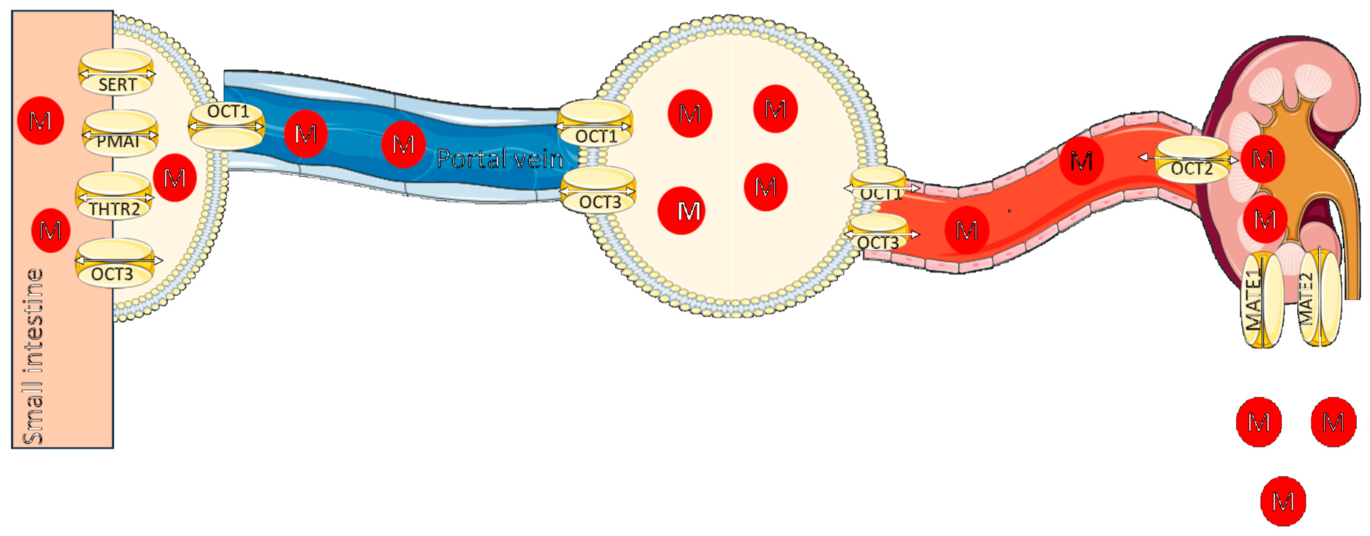 Pharmaceuticals 16 01714 g001