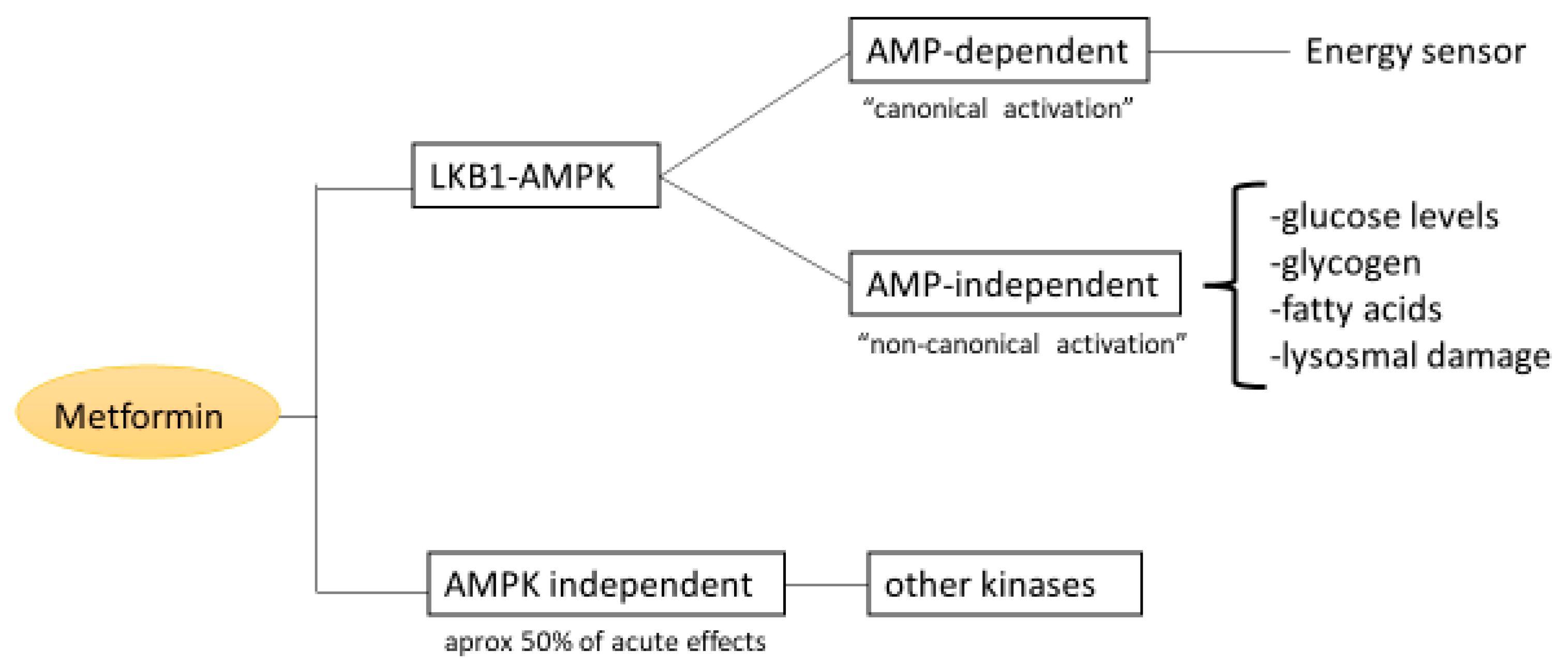 Pharmaceuticals 16 01714 g003