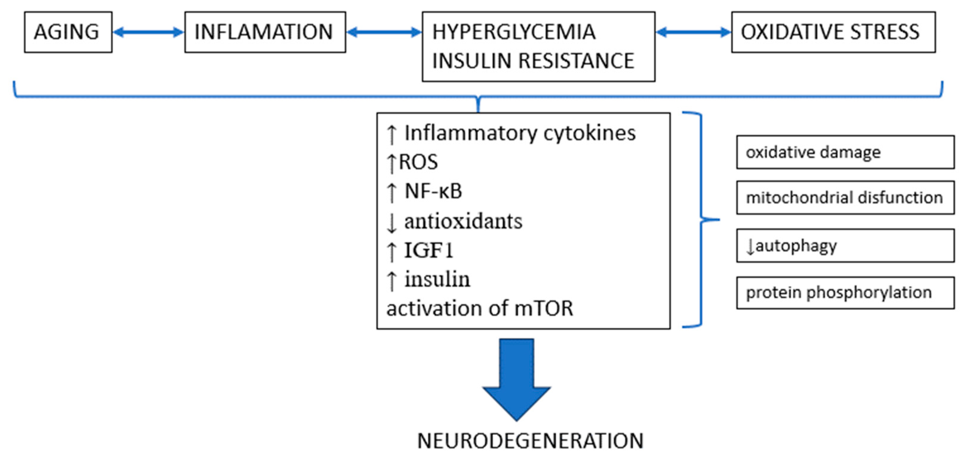 Pharmaceuticals 16 01714 g004