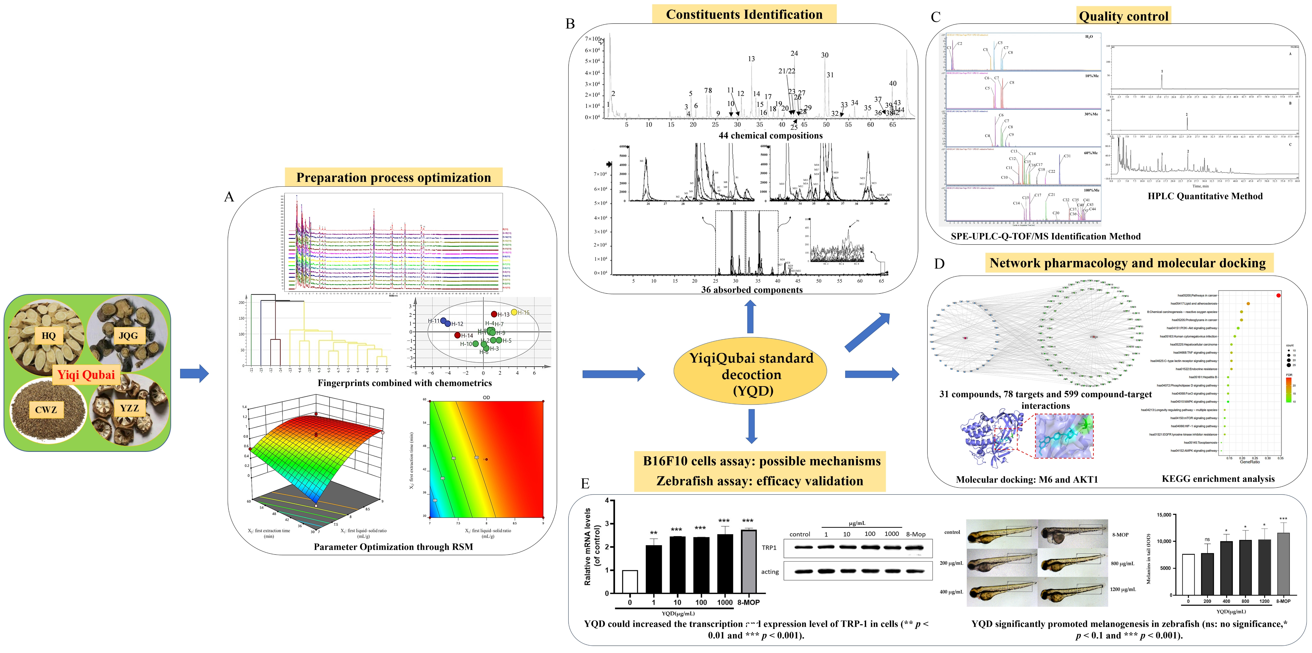 Pharmaceuticals 16 01716 g001