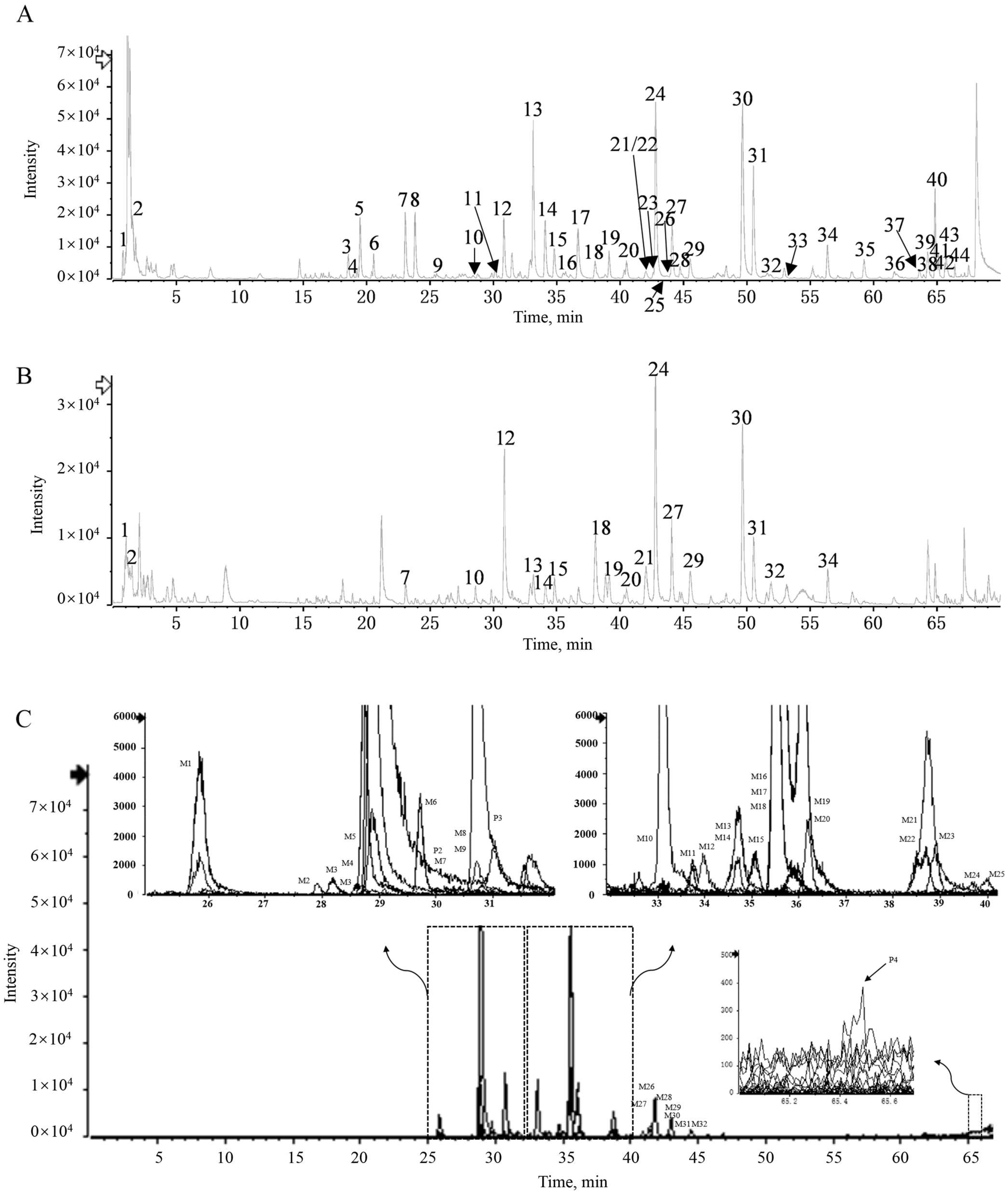 Pharmaceuticals 16 01716 g004