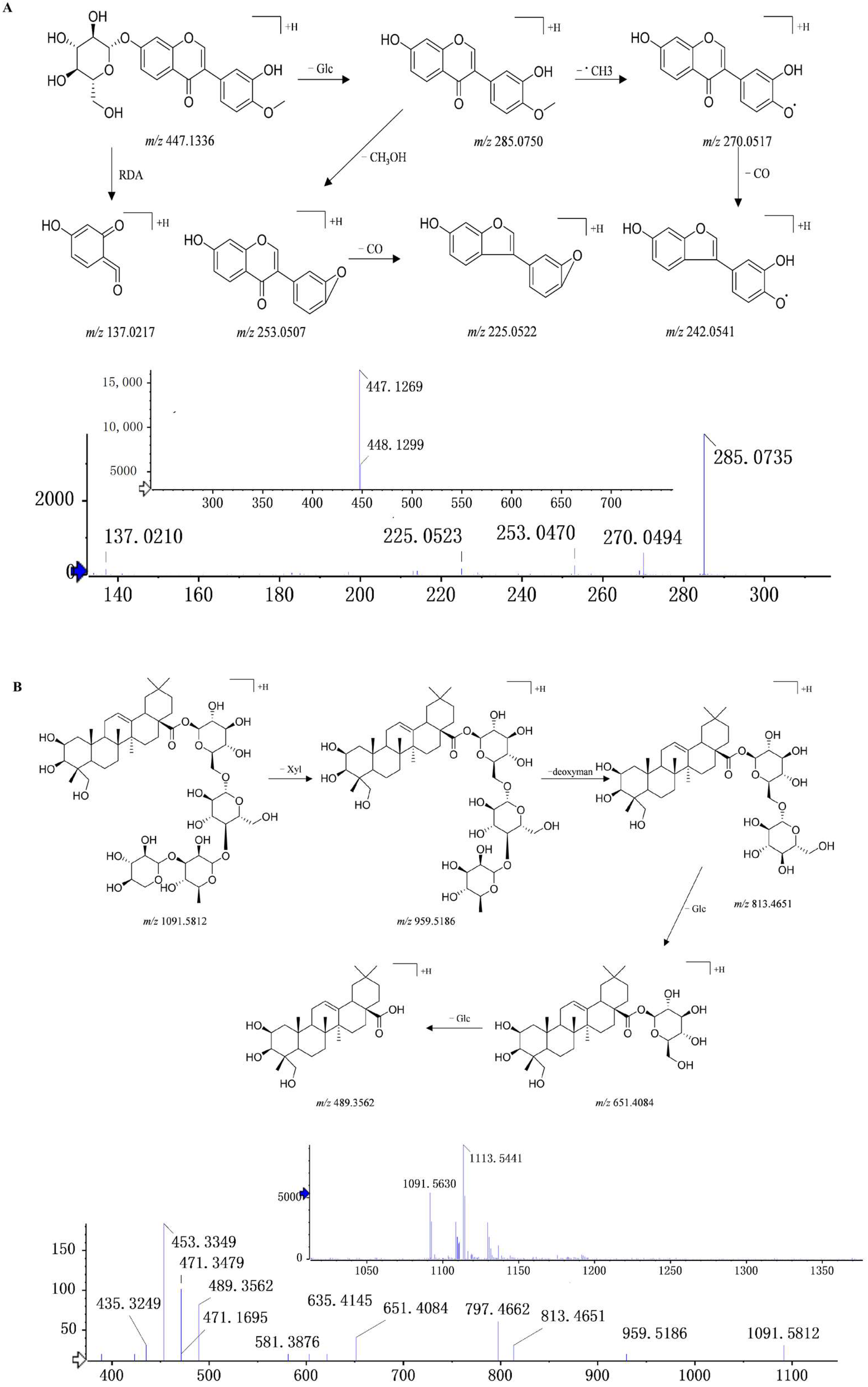 Pharmaceuticals 16 01716 g005