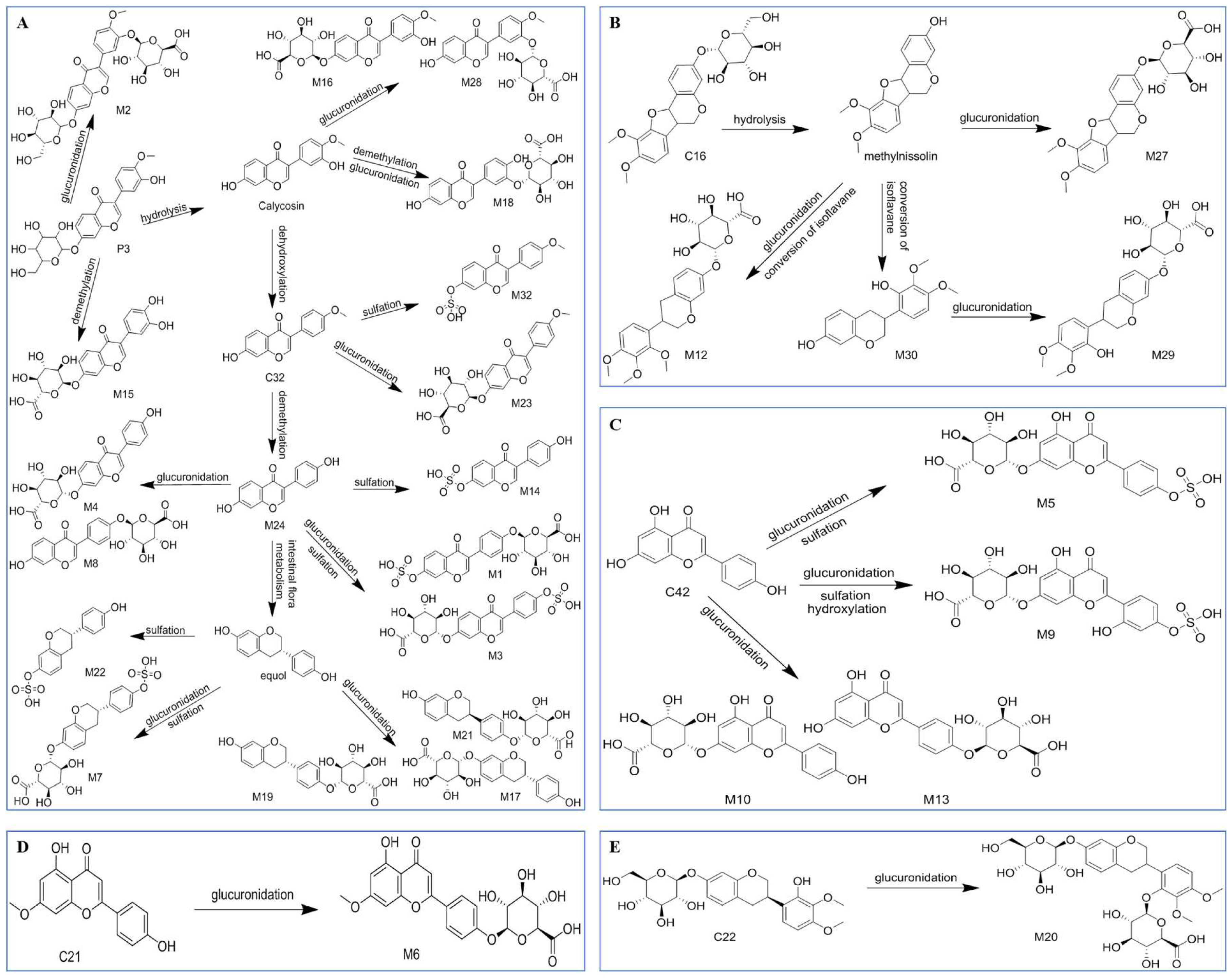 Pharmaceuticals 16 01716 g006