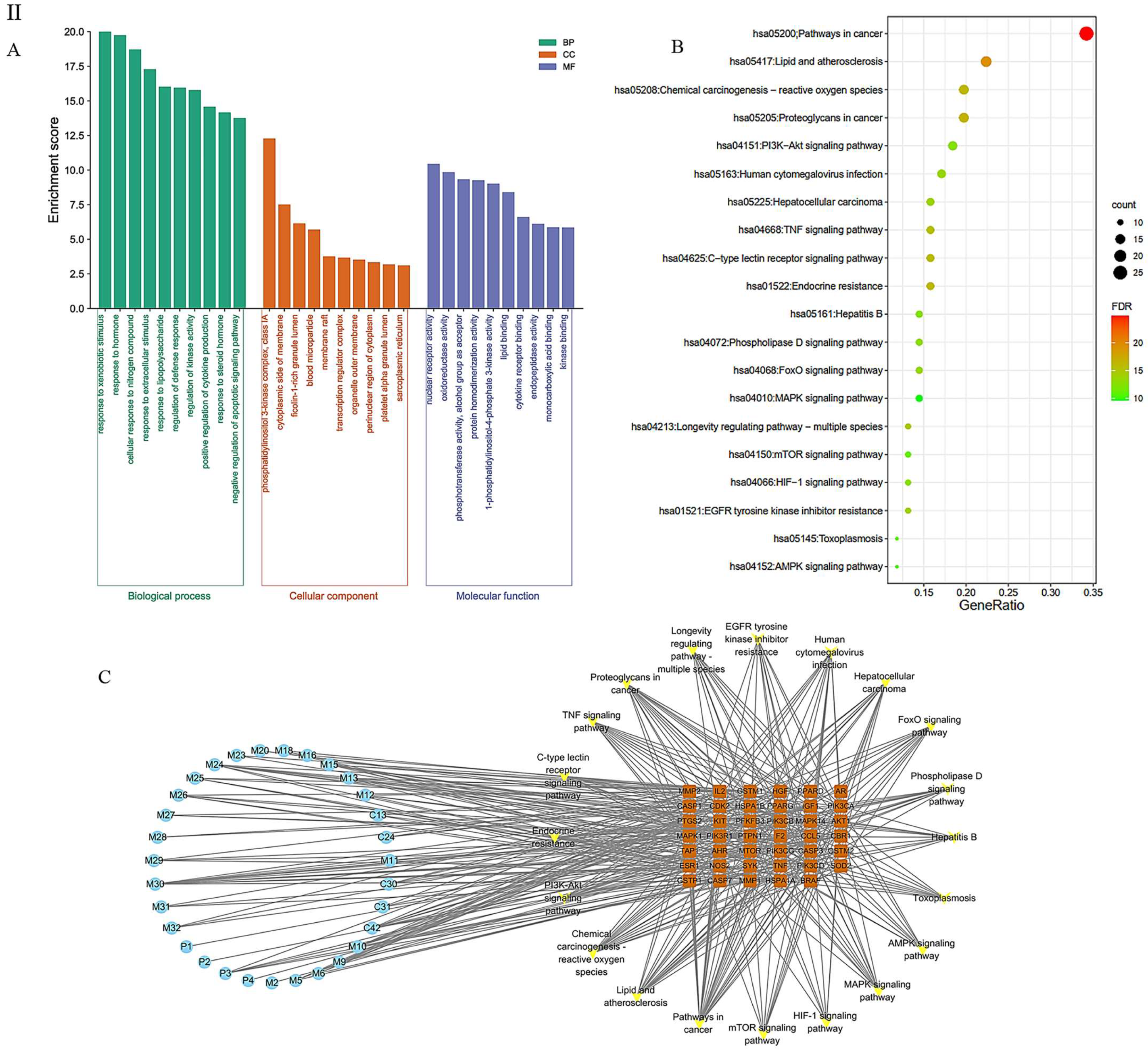 Pharmaceuticals 16 01716 g008b