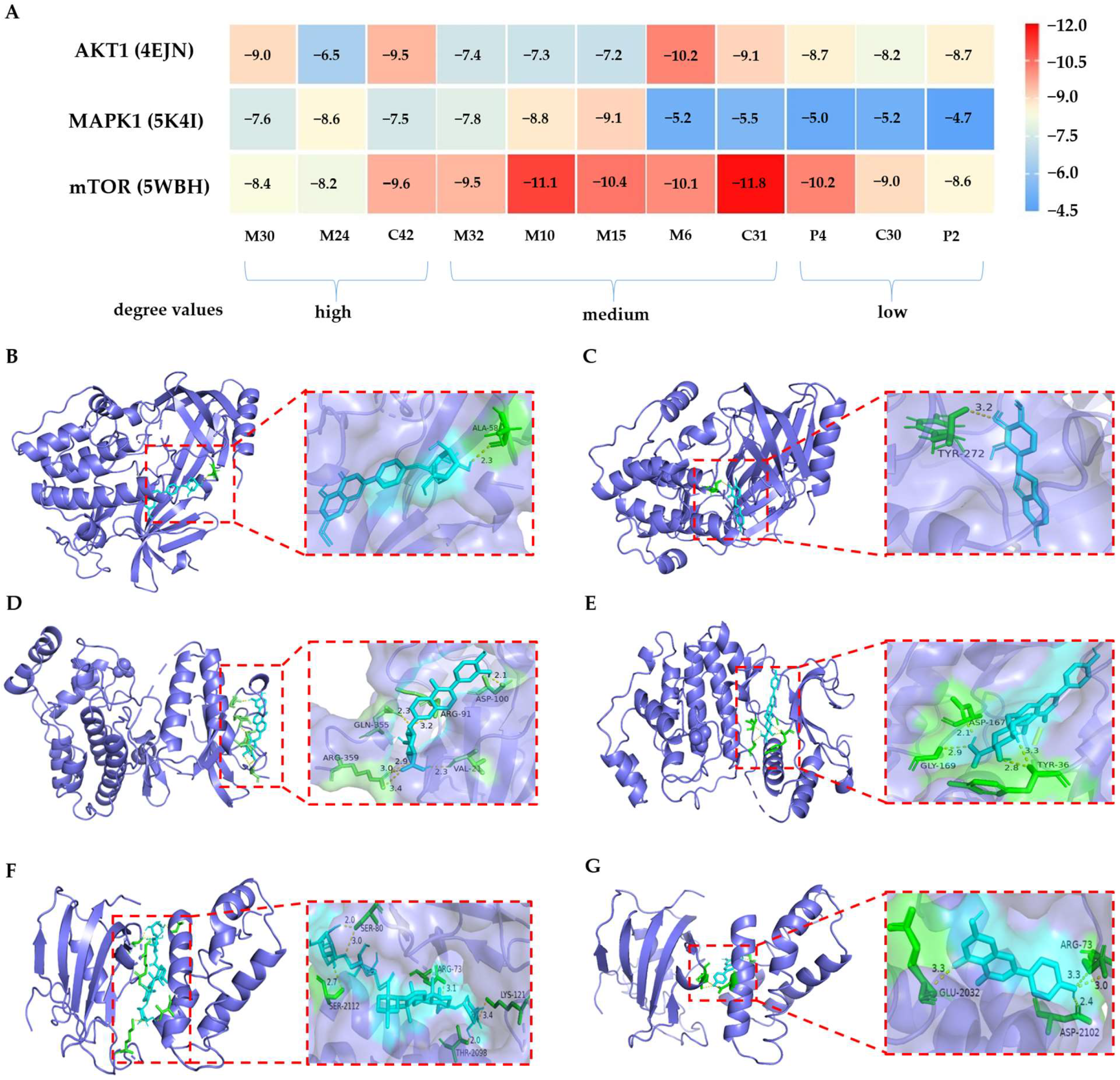 Pharmaceuticals 16 01716 g009