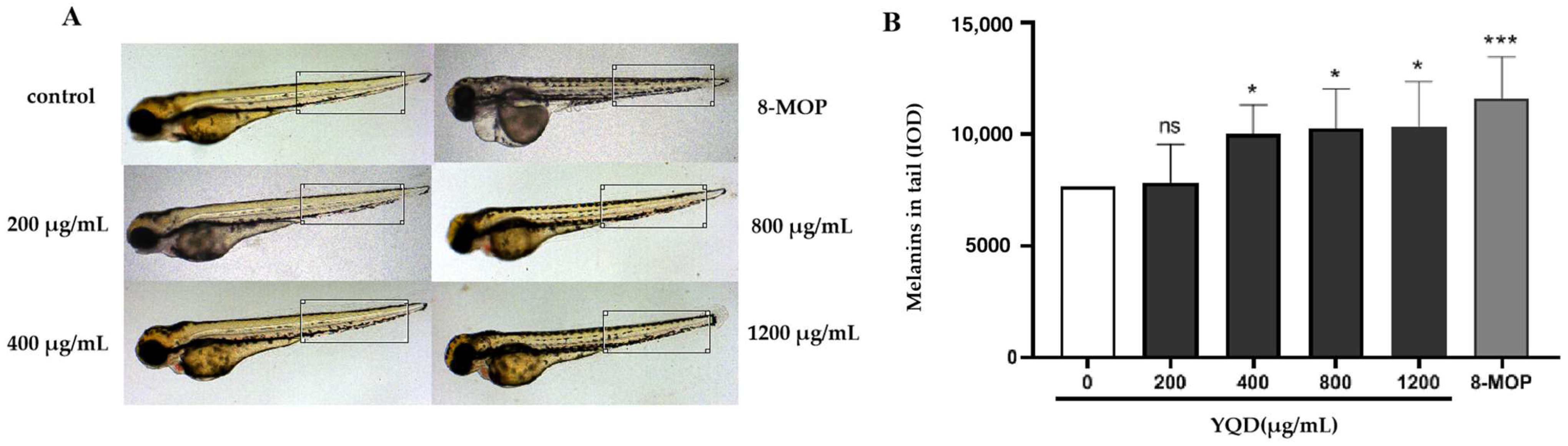 Pharmaceuticals 16 01716 g011