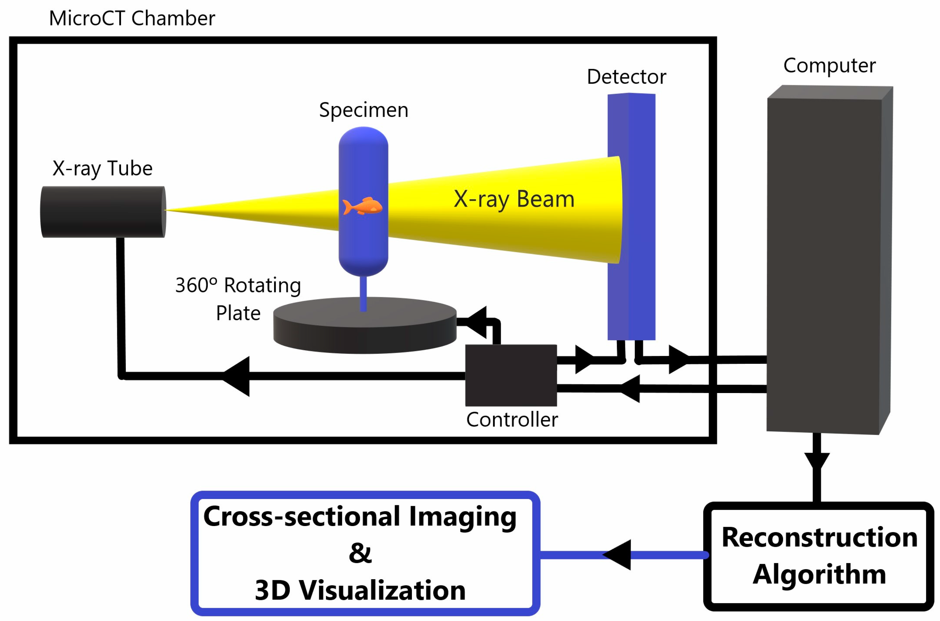 Pharmaceuticals 16 01719 g001