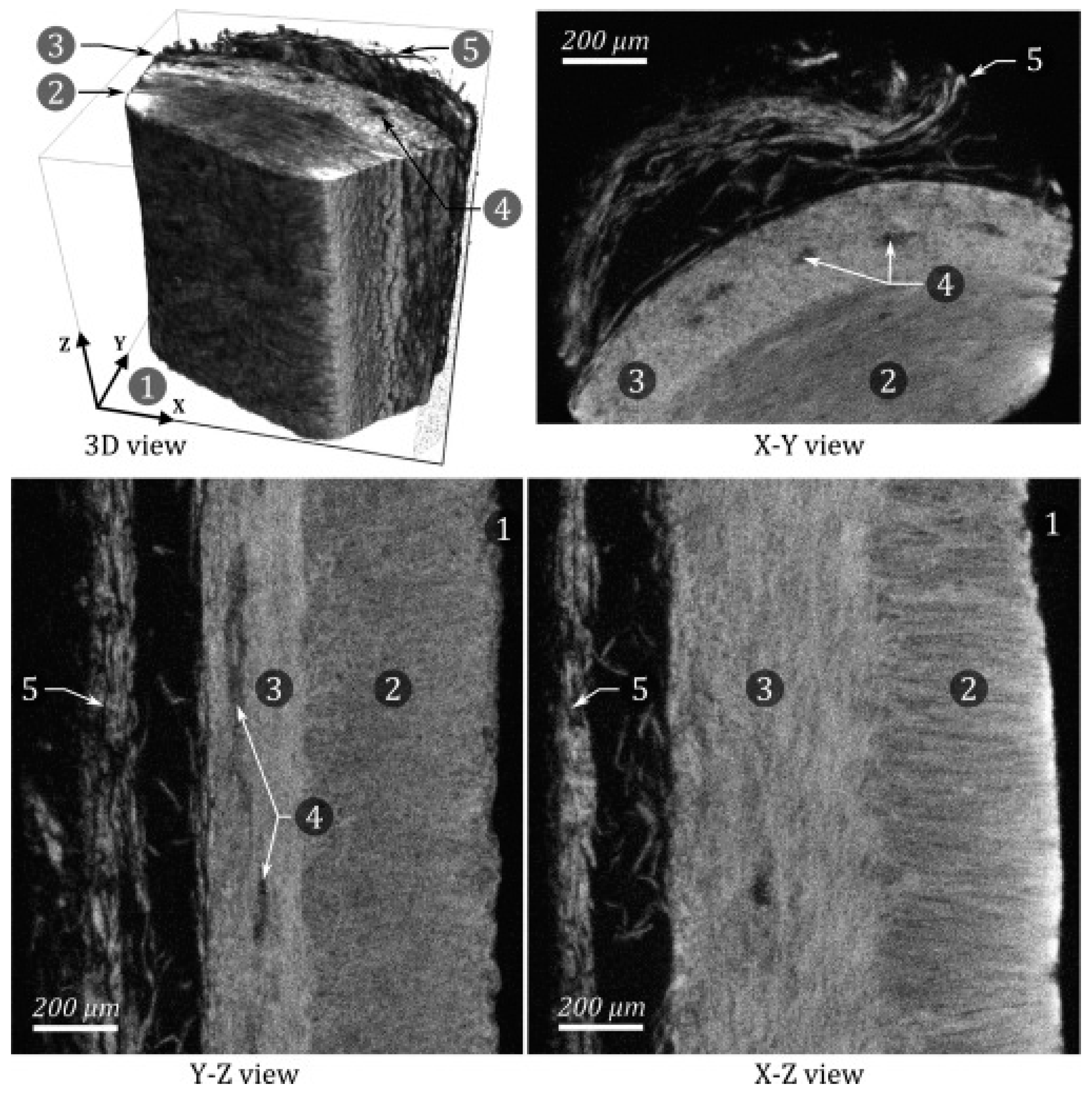 Pharmaceuticals 16 01719 g002