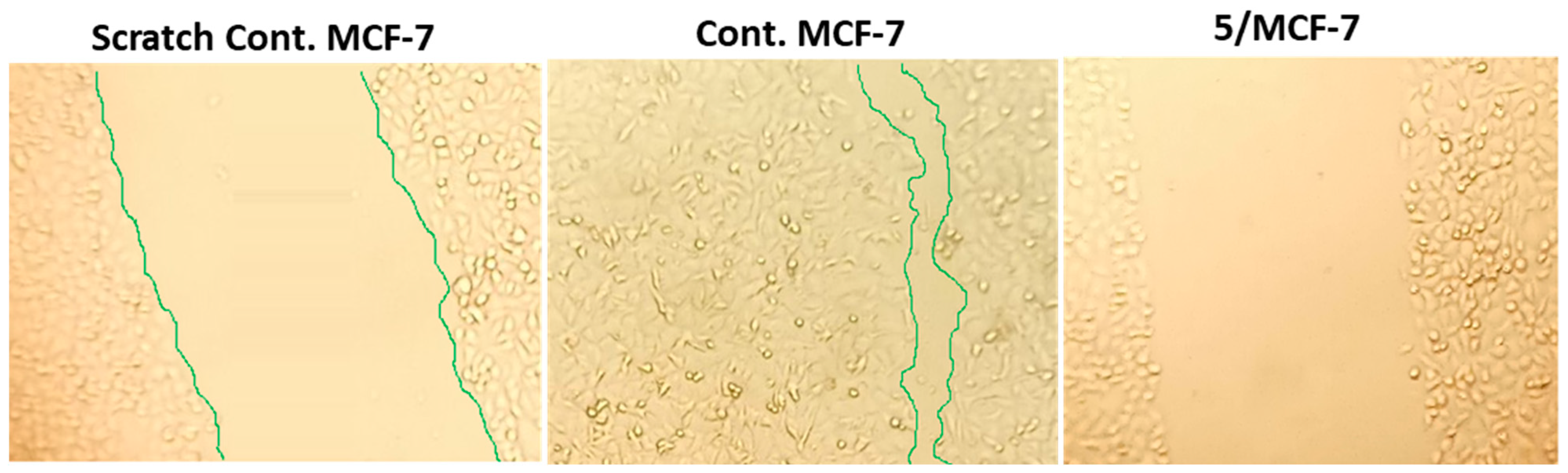 Pharmaceuticals 16 01724 g003