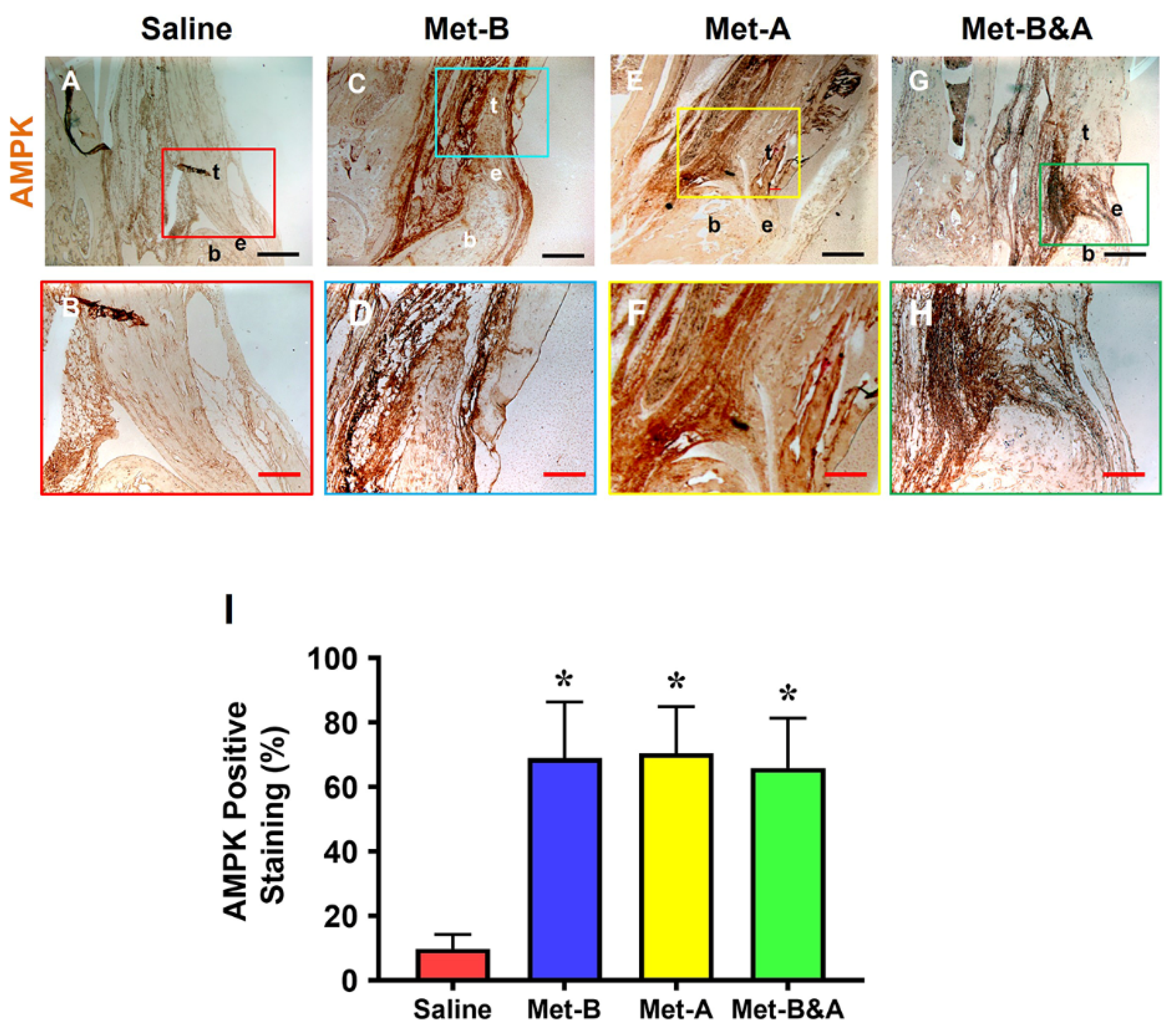 Pharmaceuticals 16 01739 g002