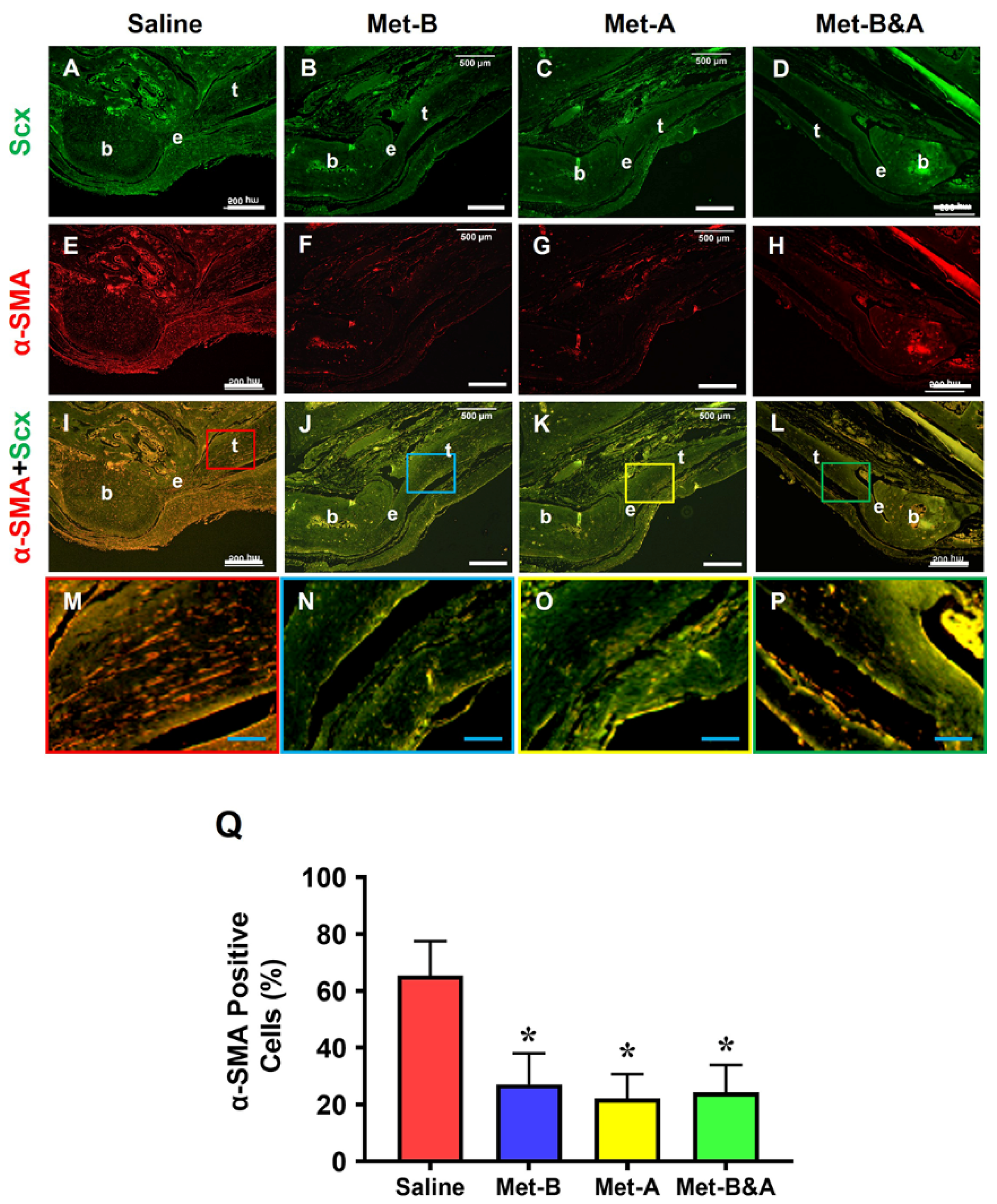 Pharmaceuticals 16 01739 g005