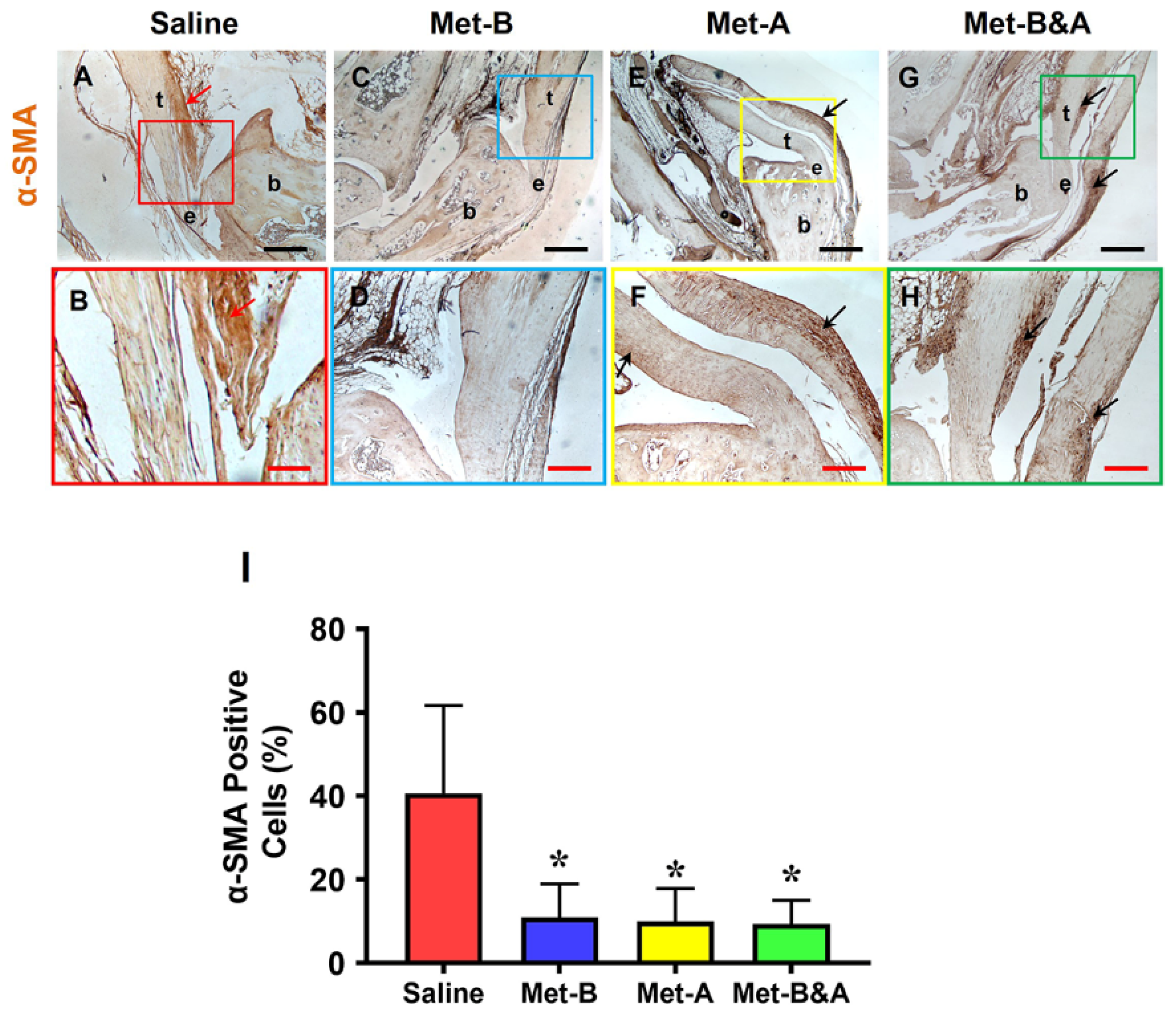 Pharmaceuticals 16 01739 g006