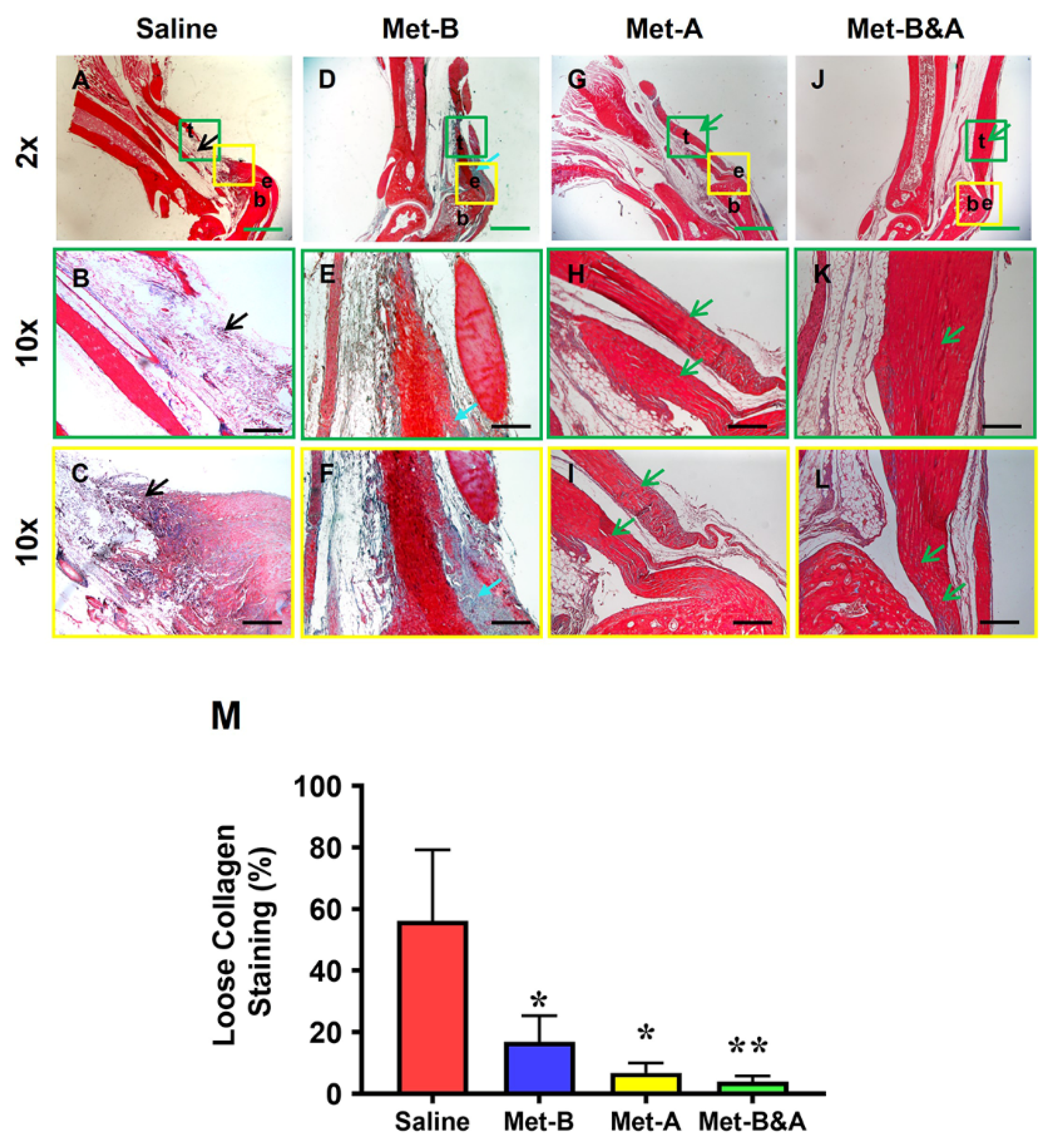 Pharmaceuticals 16 01739 g008