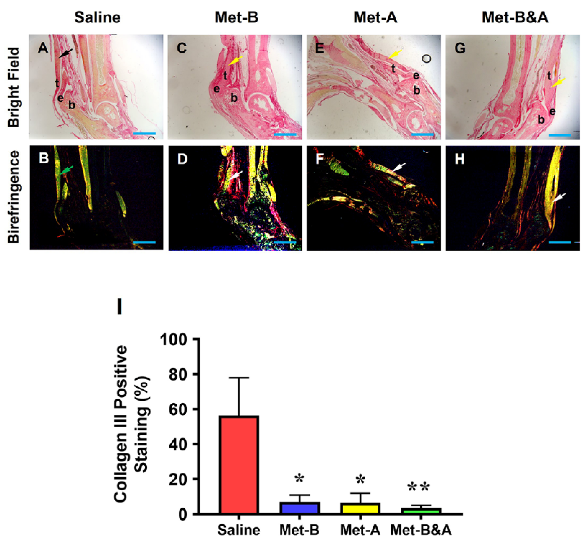 Pharmaceuticals 16 01739 g009