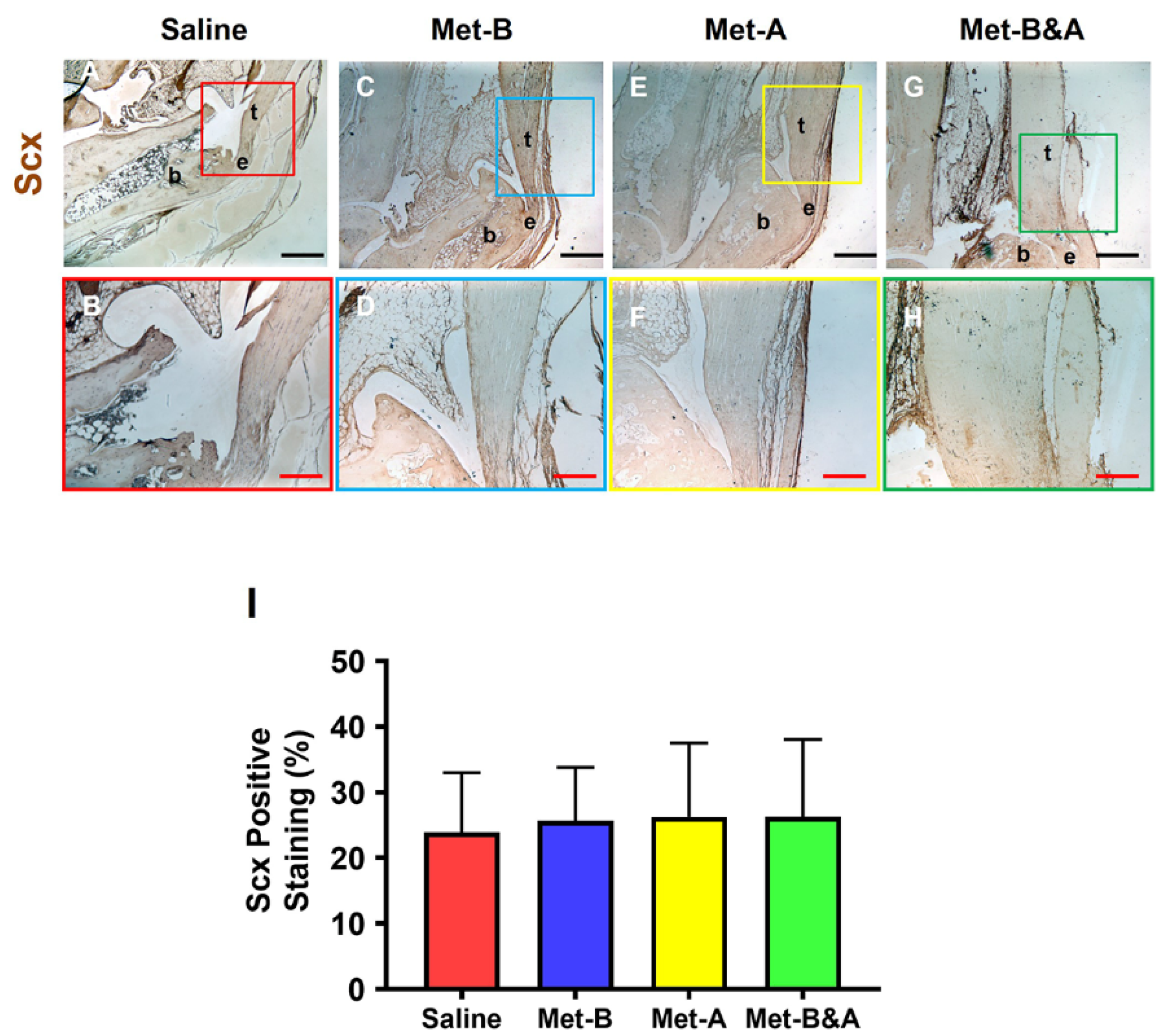 Pharmaceuticals 16 01739 g010