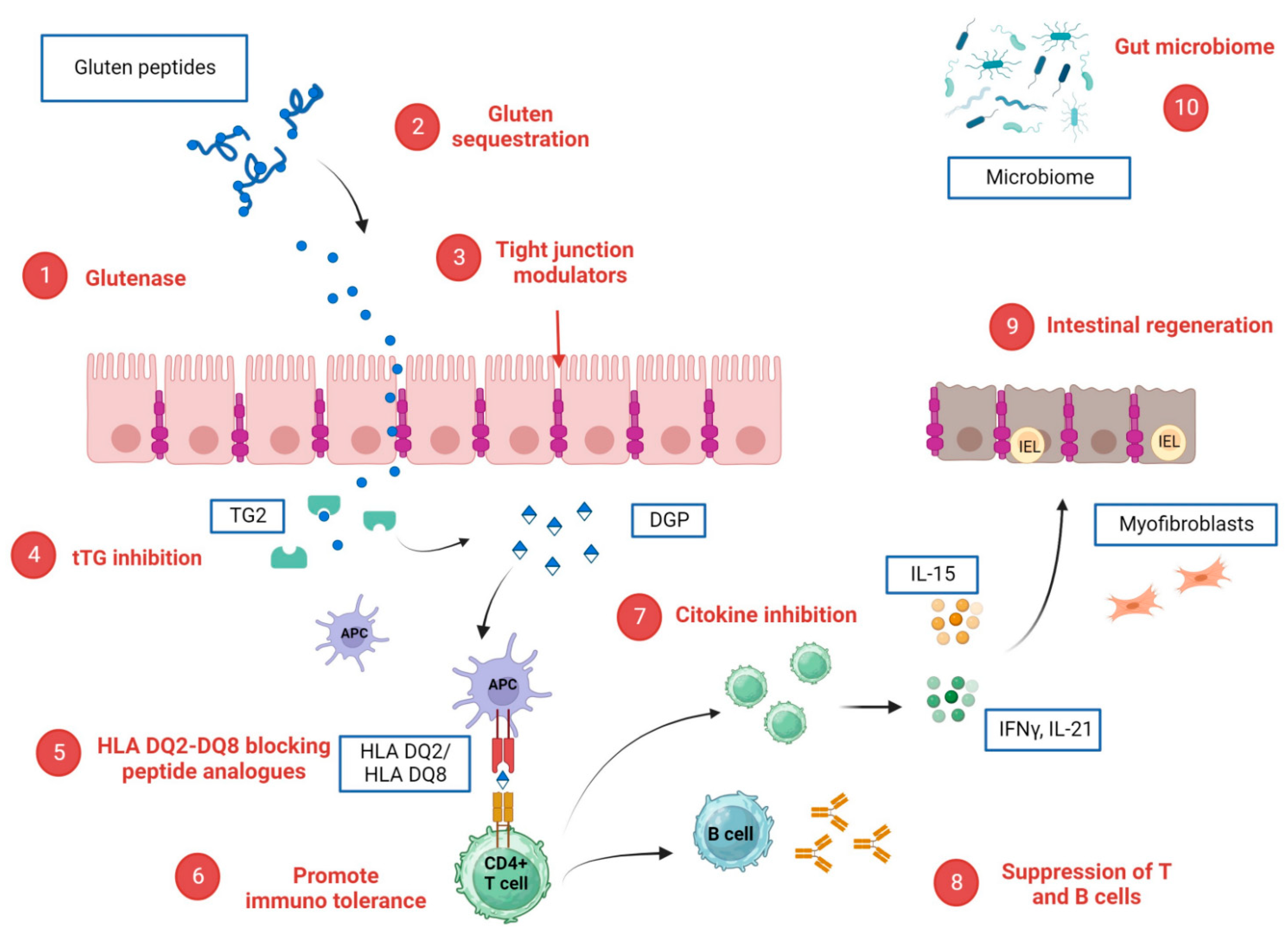 Pharmaceuticals 17 00004 g002
