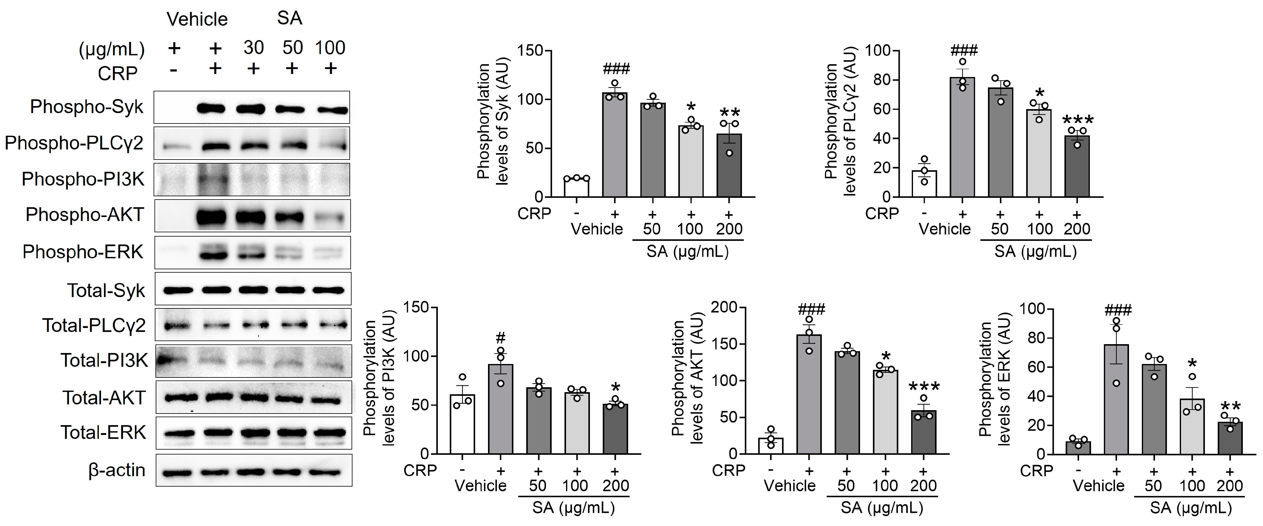 Pharmaceuticals 17 00006 g003