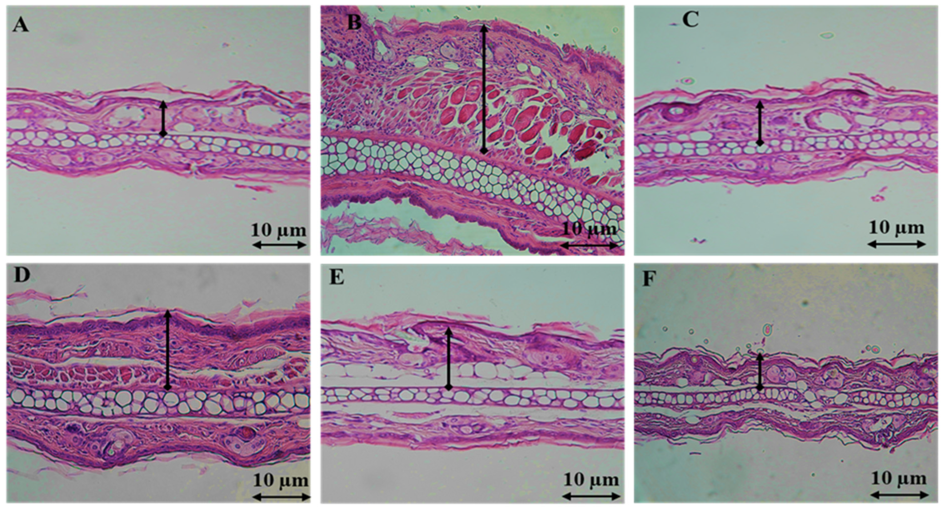 Pharmaceuticals 17 00020 g002 Pharmaceuticals 17 00020 g002