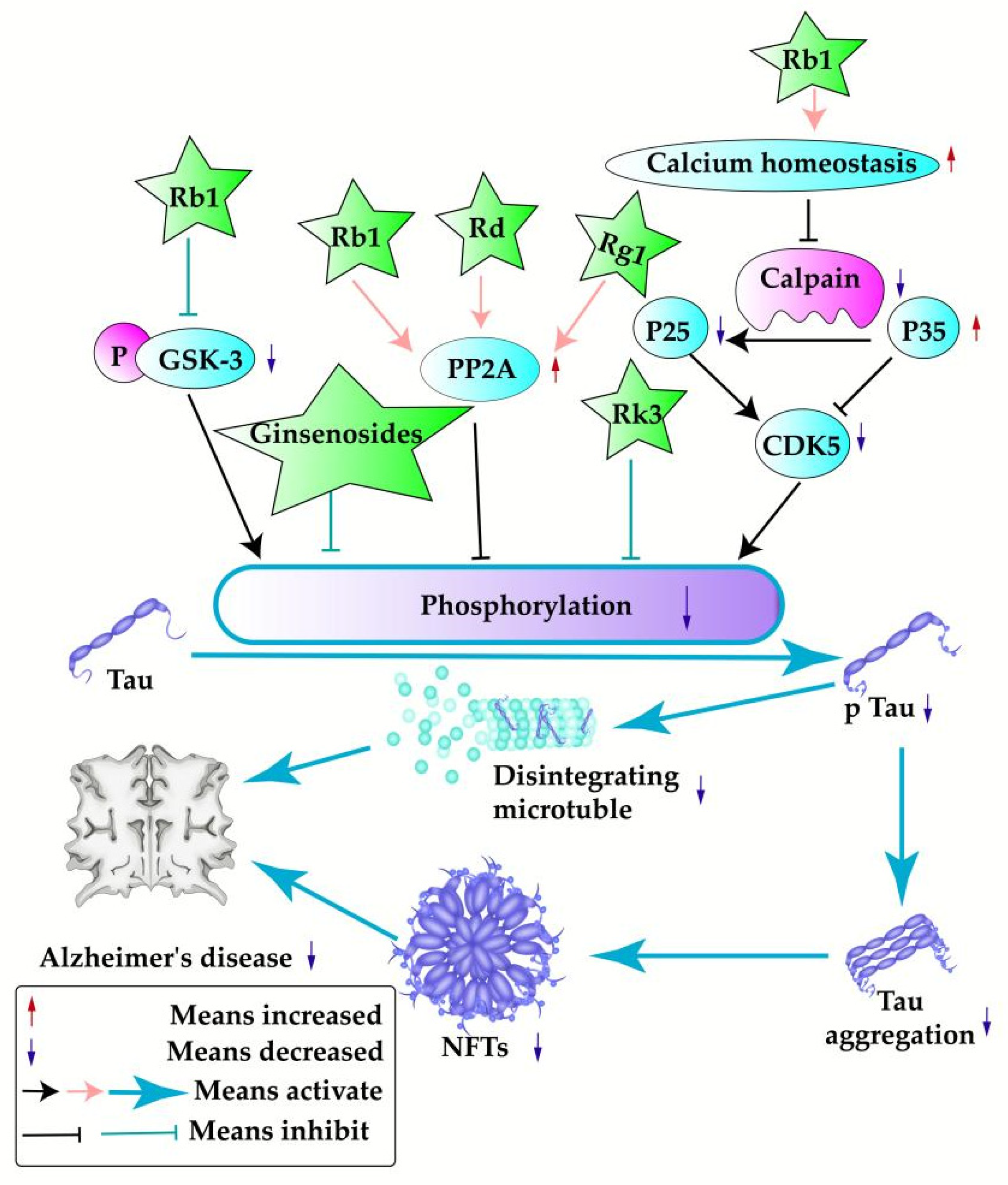 Pharmaceuticals 17 00038 g004