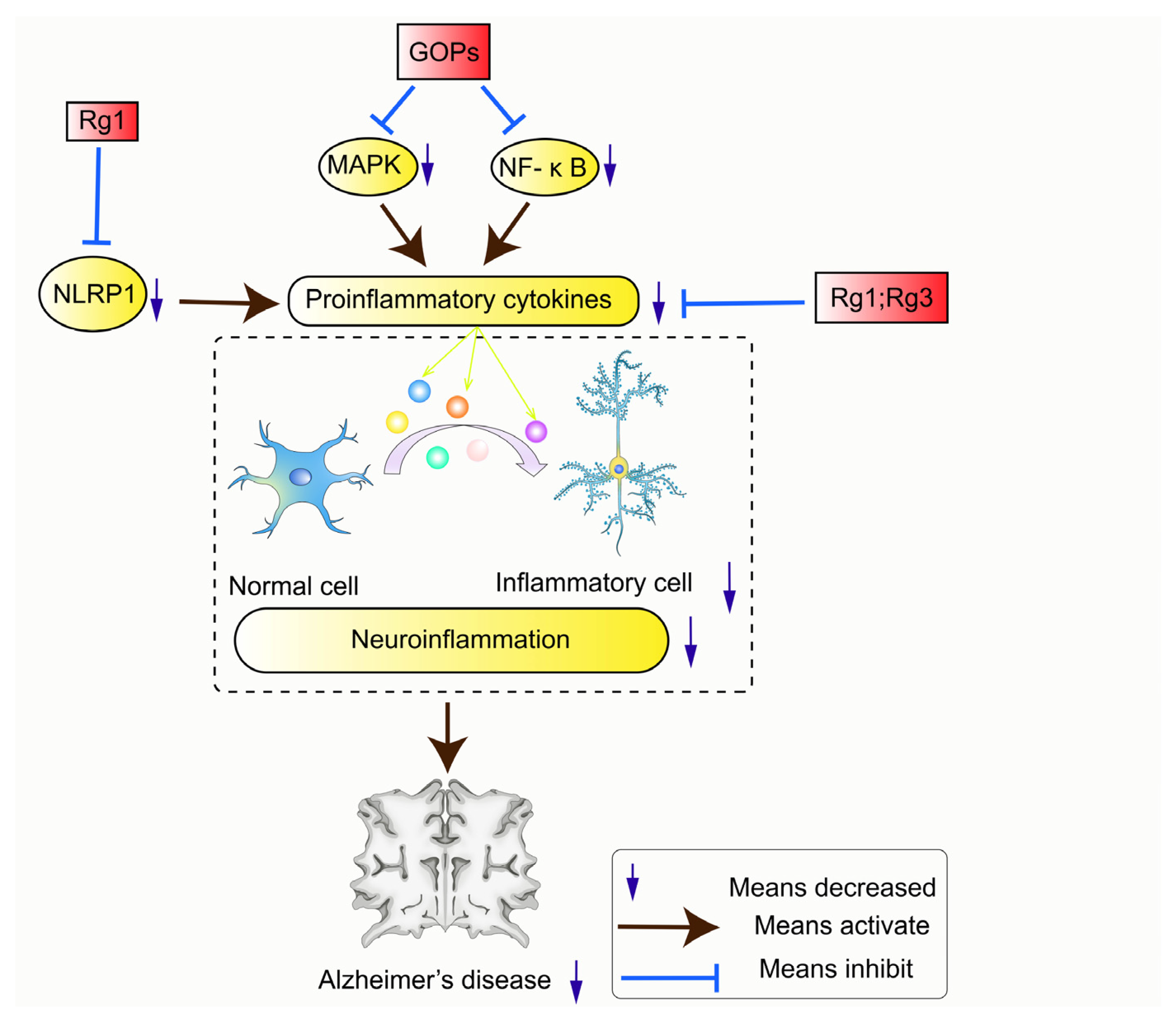 Pharmaceuticals 17 00038 g006