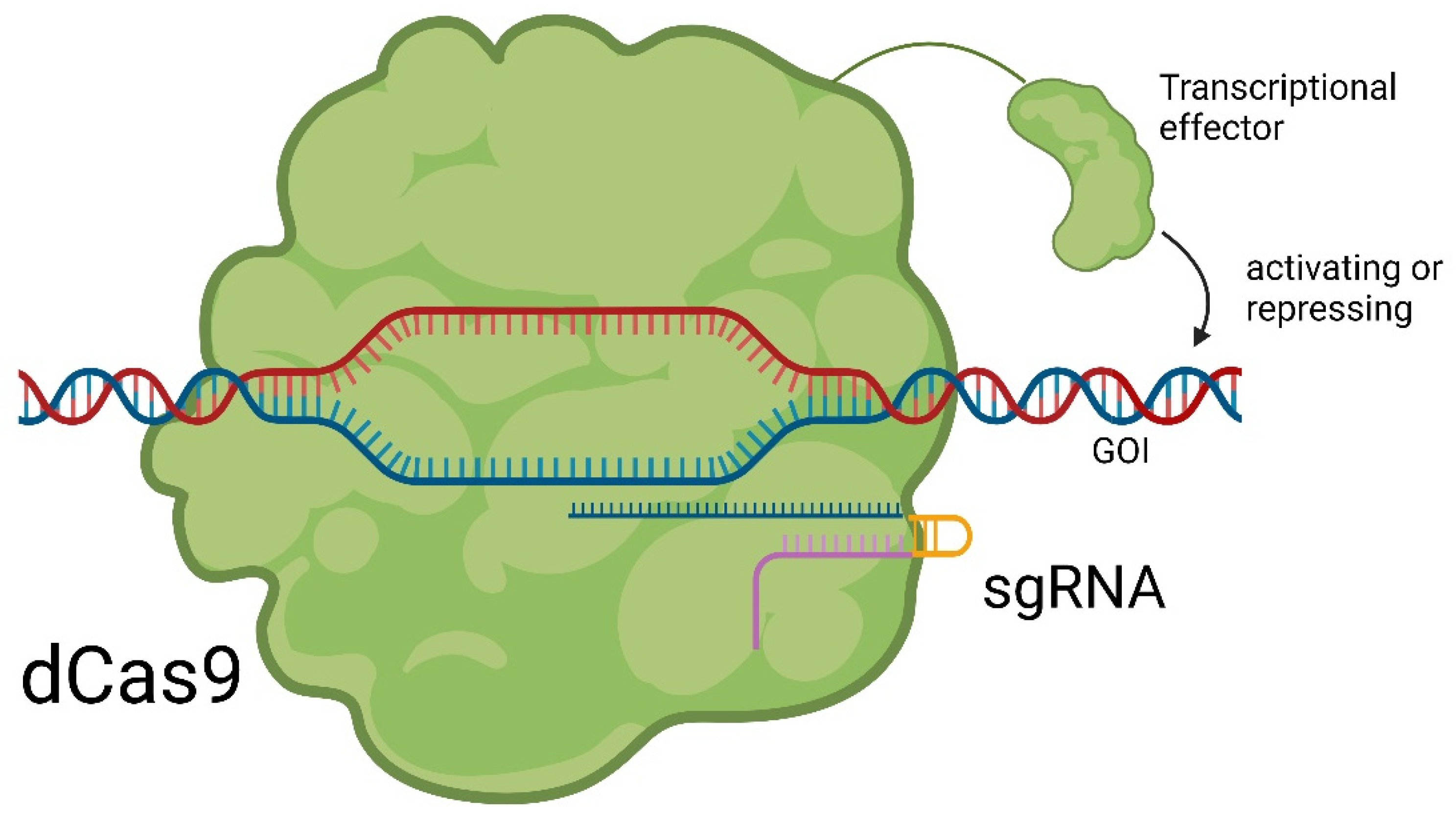Pharmaceuticals 17 00041 g005