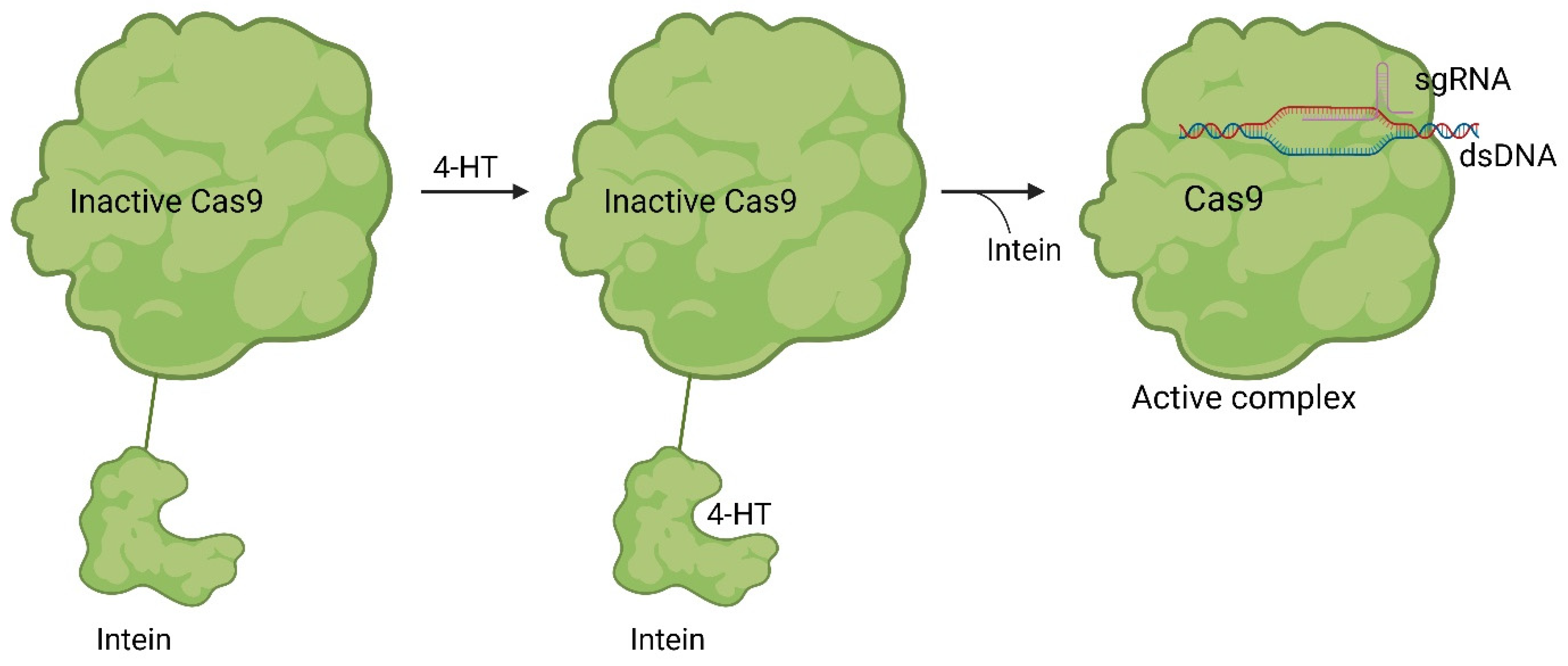 Pharmaceuticals 17 00041 g008