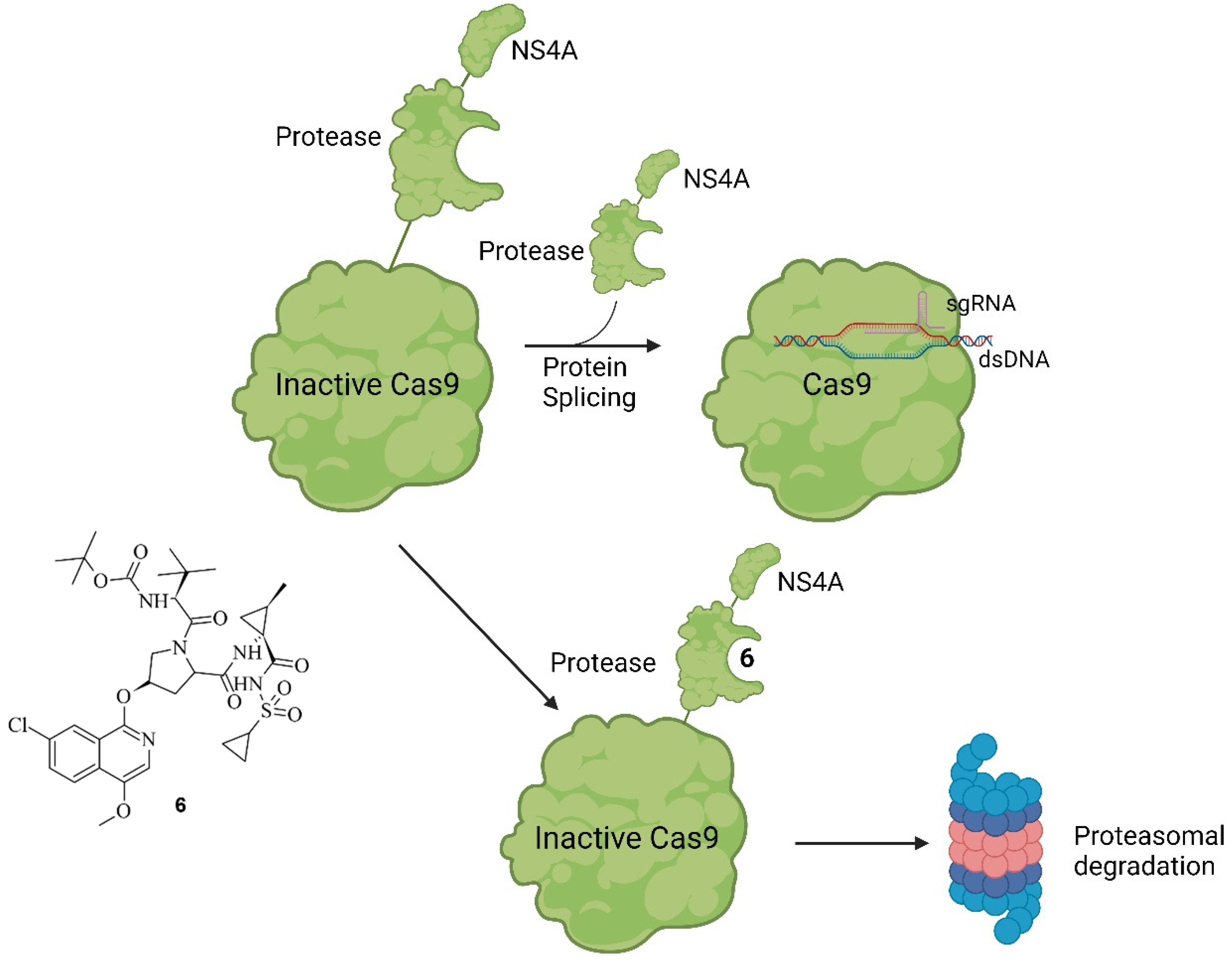 Pharmaceuticals 17 00041 g009
