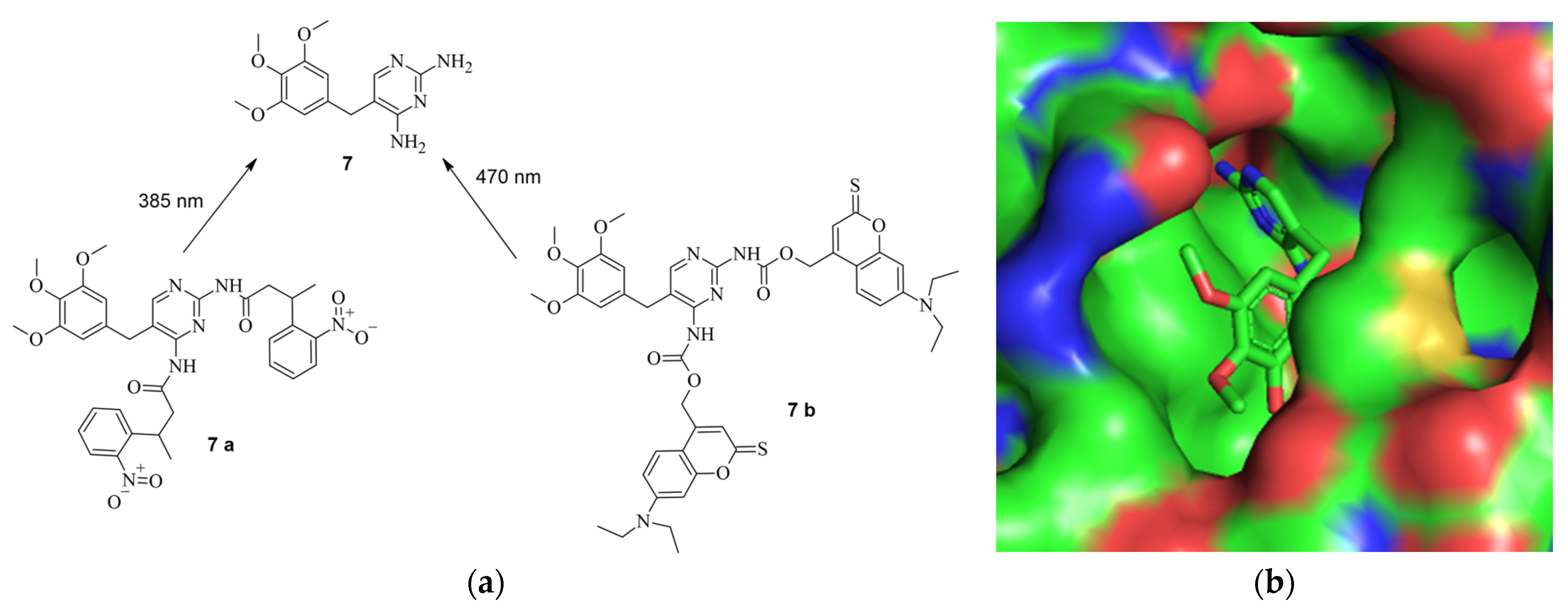 Pharmaceuticals 17 00041 g010a