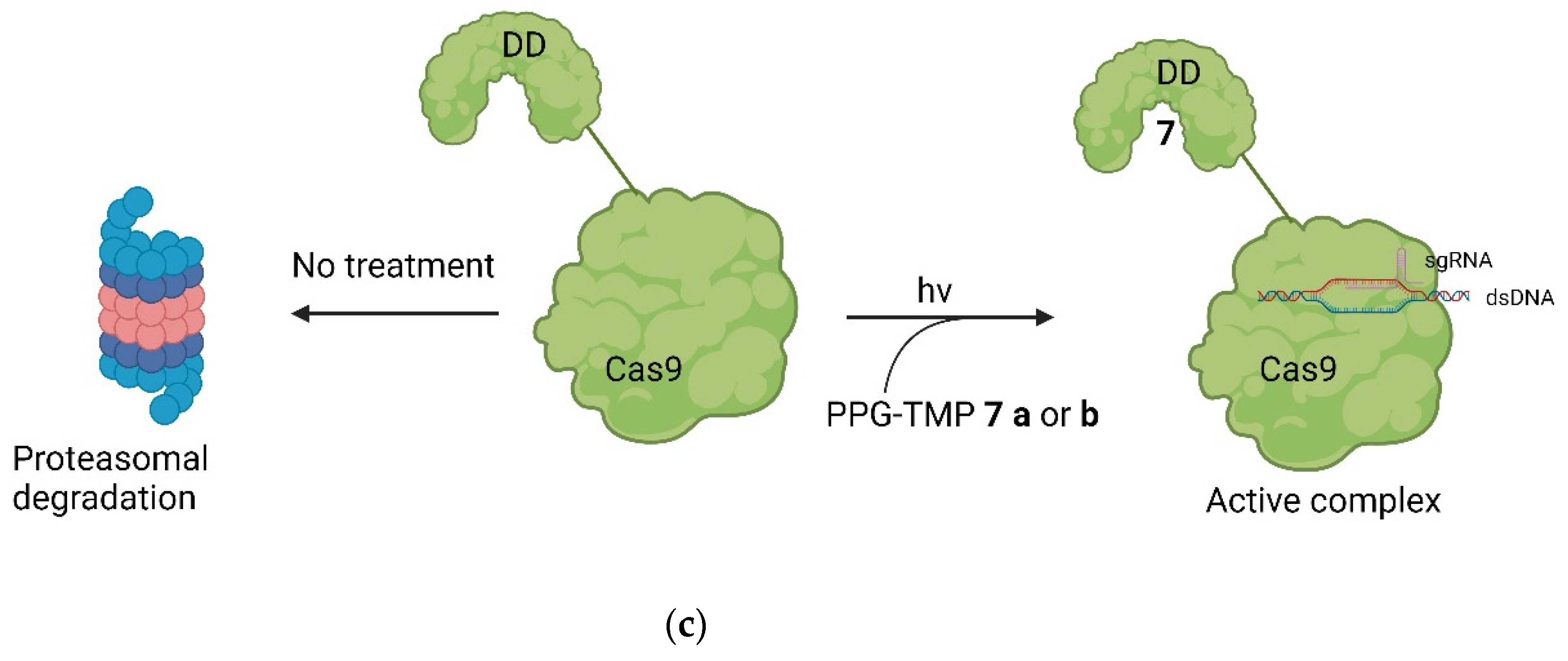 Pharmaceuticals 17 00041 g010b