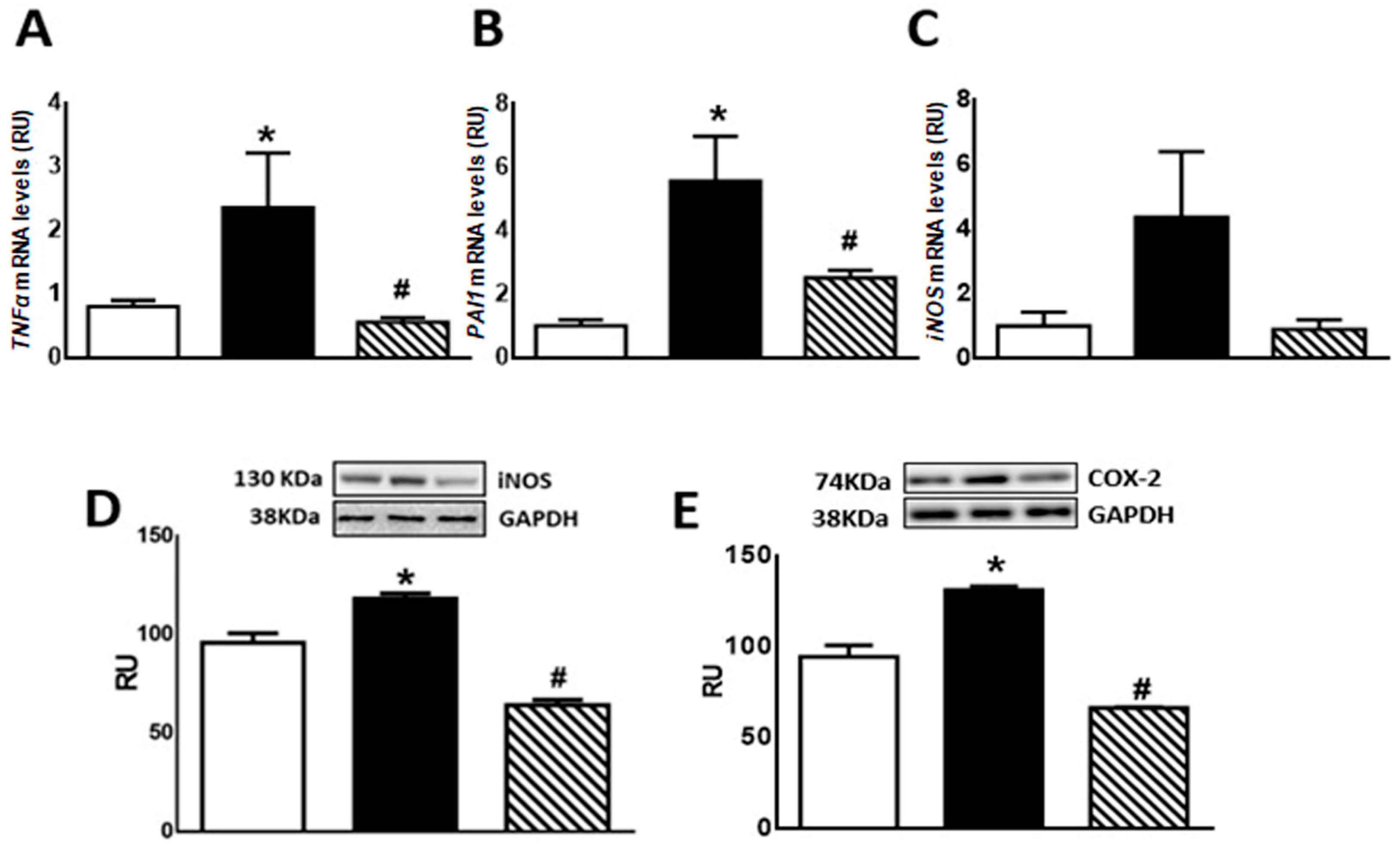 Pharmaceuticals 17 00047 g005