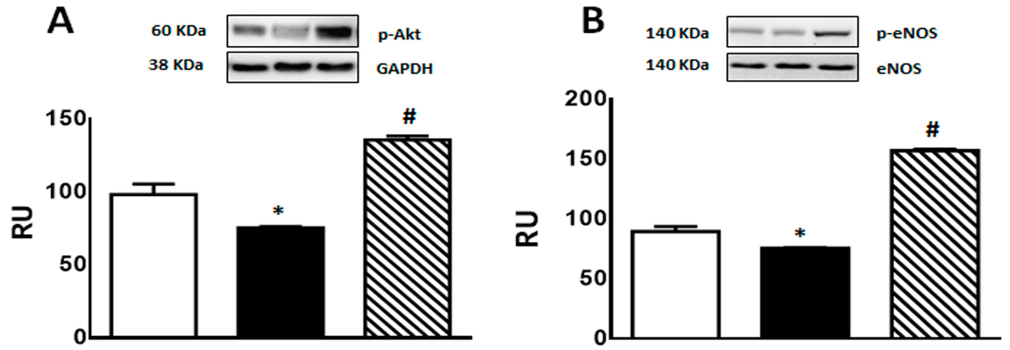 Pharmaceuticals 17 00047 g006