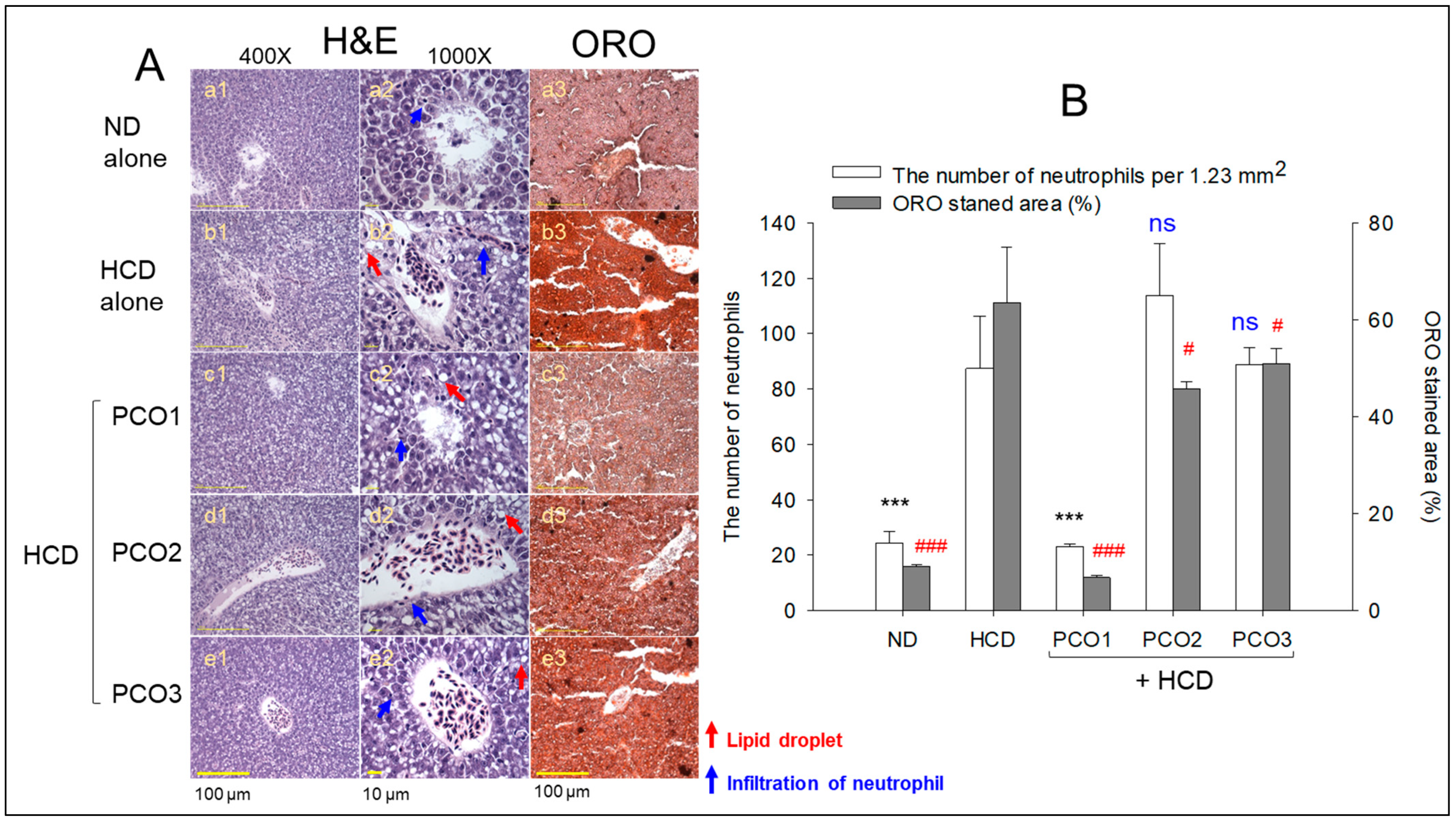 Pharmaceuticals 17 00066 g004