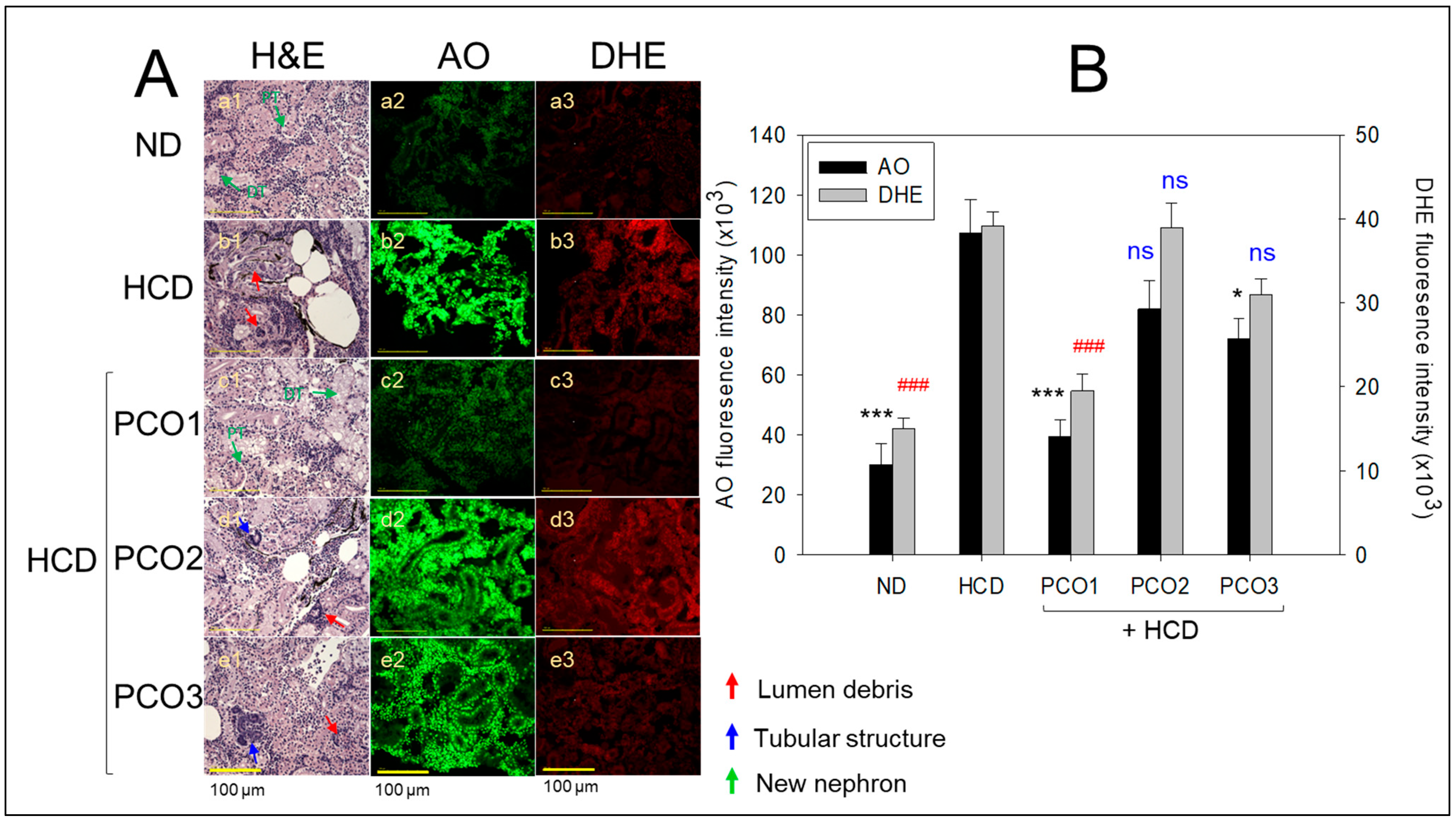 Pharmaceuticals 17 00066 g006