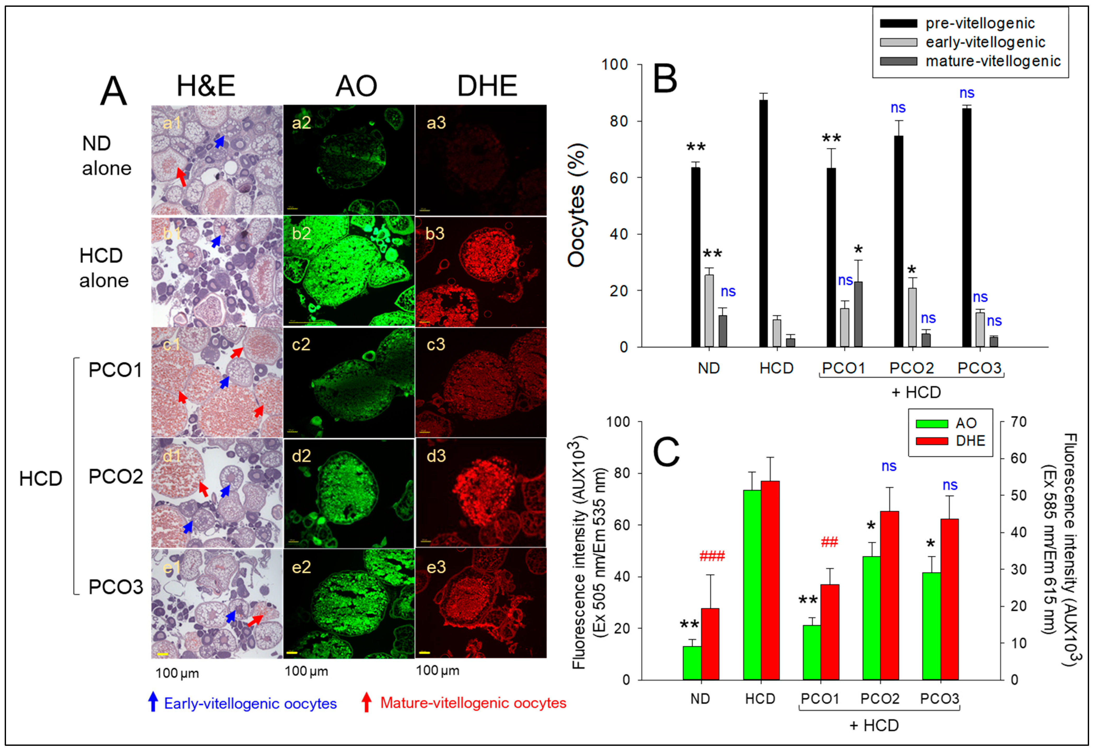 Pharmaceuticals 17 00066 g007
