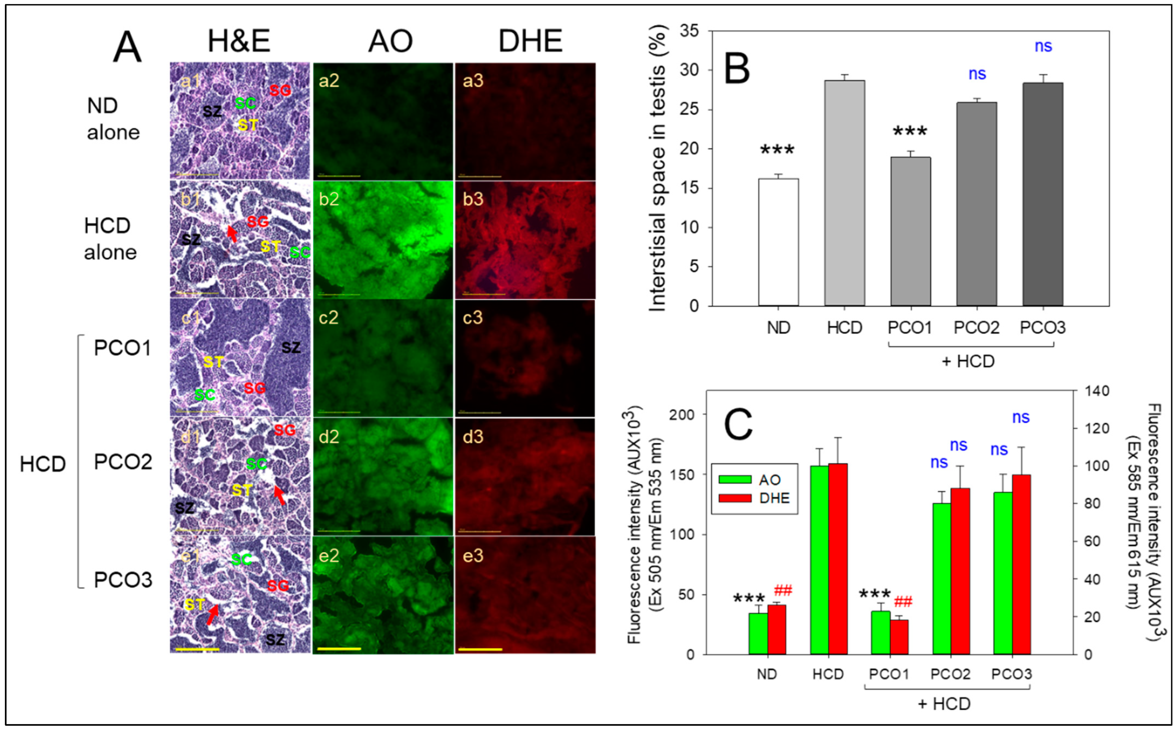 Pharmaceuticals 17 00066 g008