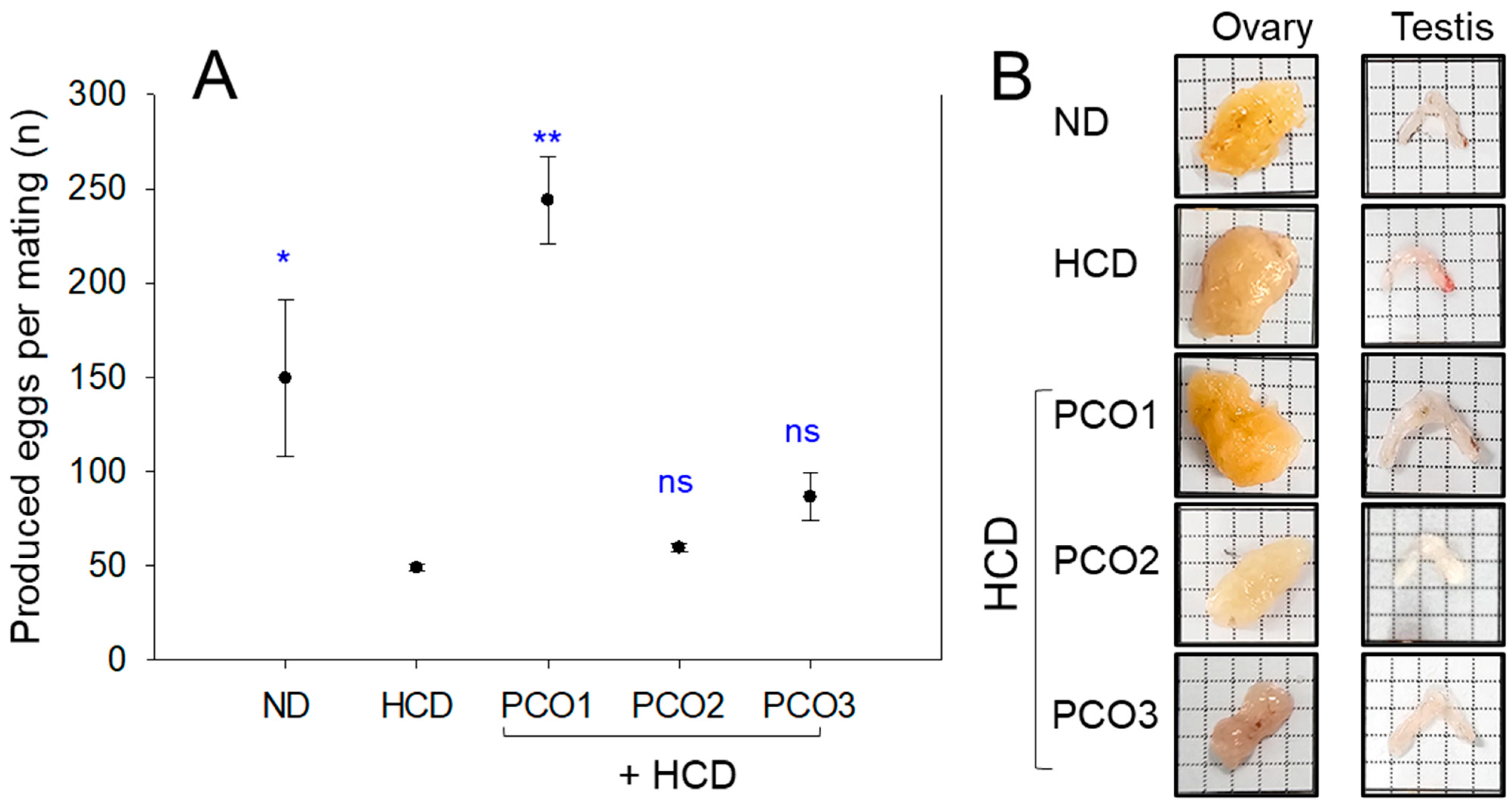 Pharmaceuticals 17 00066 g009a